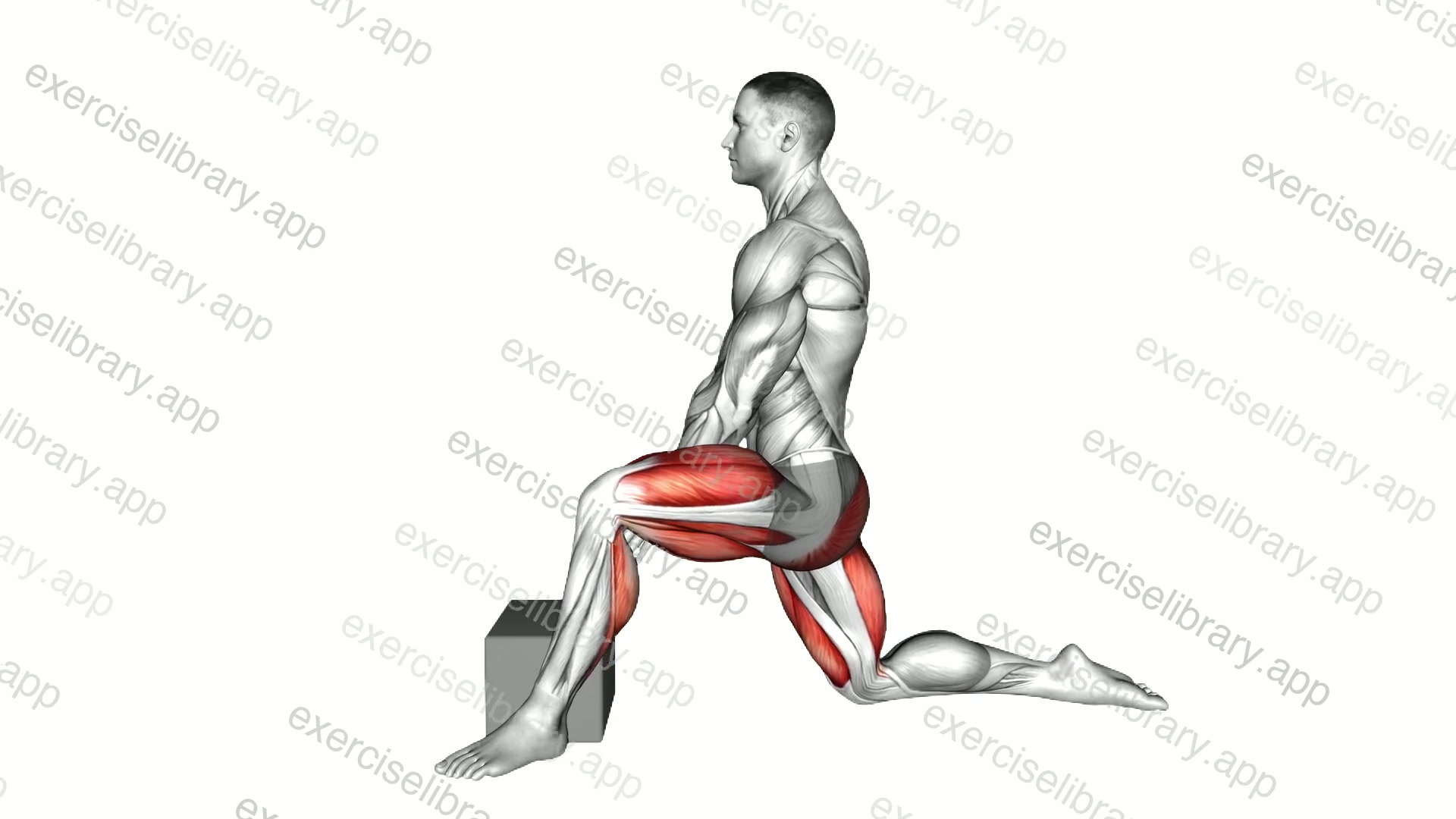 Low Lunge Stretch demonstration