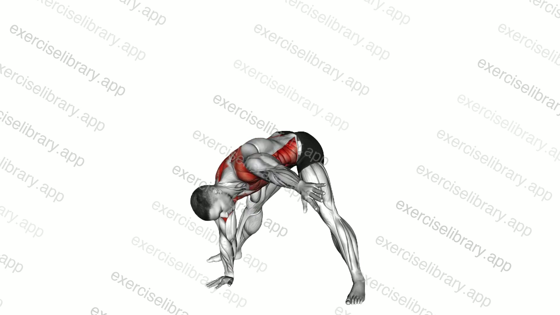 Standing Forward Bent Alternating Twist demonstration