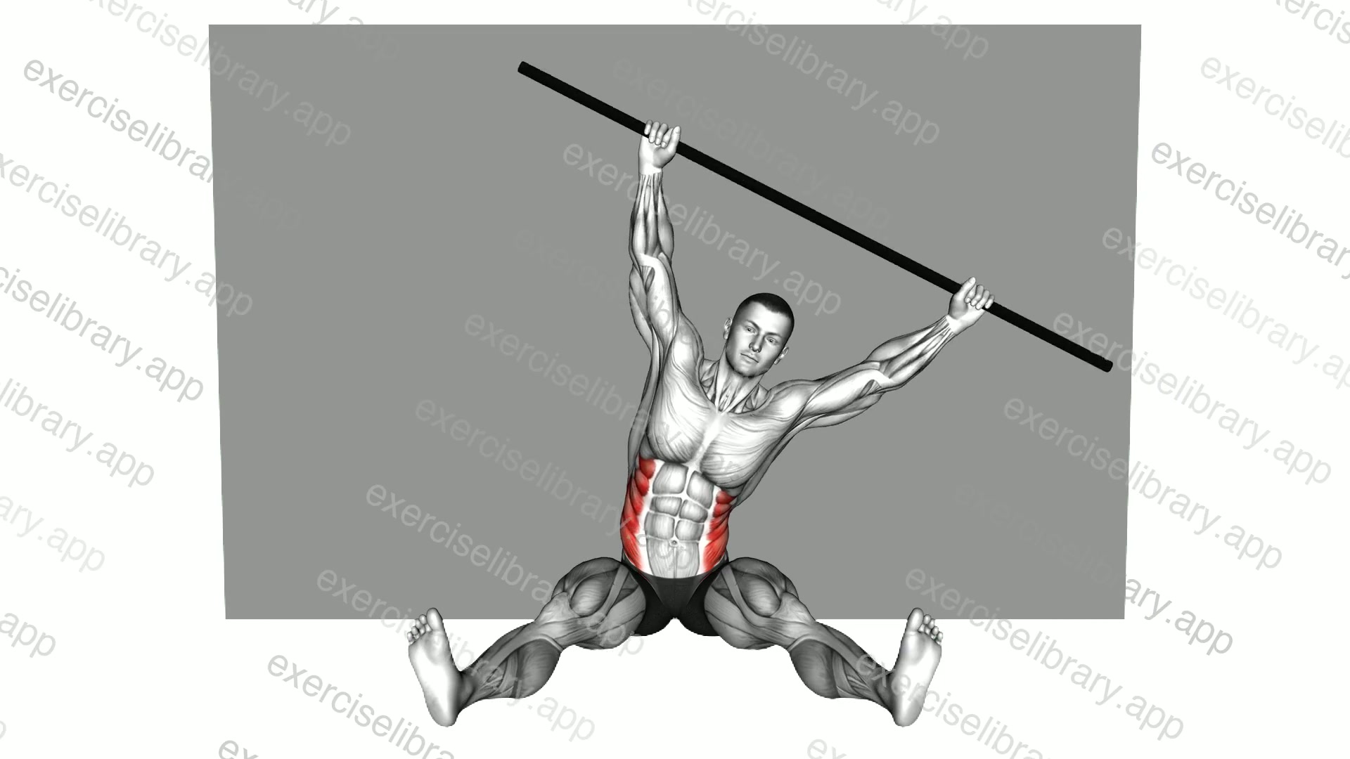 Stick Sitting Side to Side Bend Along the Wall demonstration