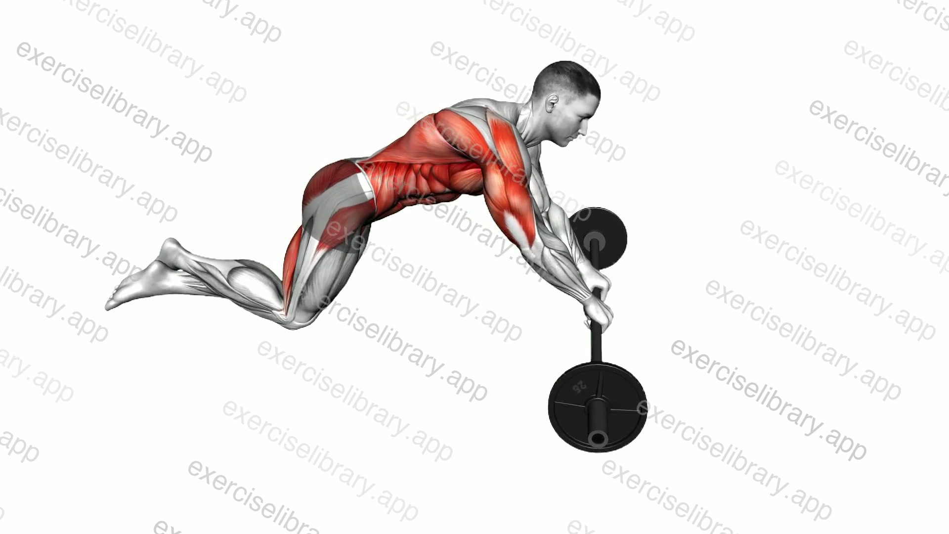 Barbell Side Hip Rollout demonstration