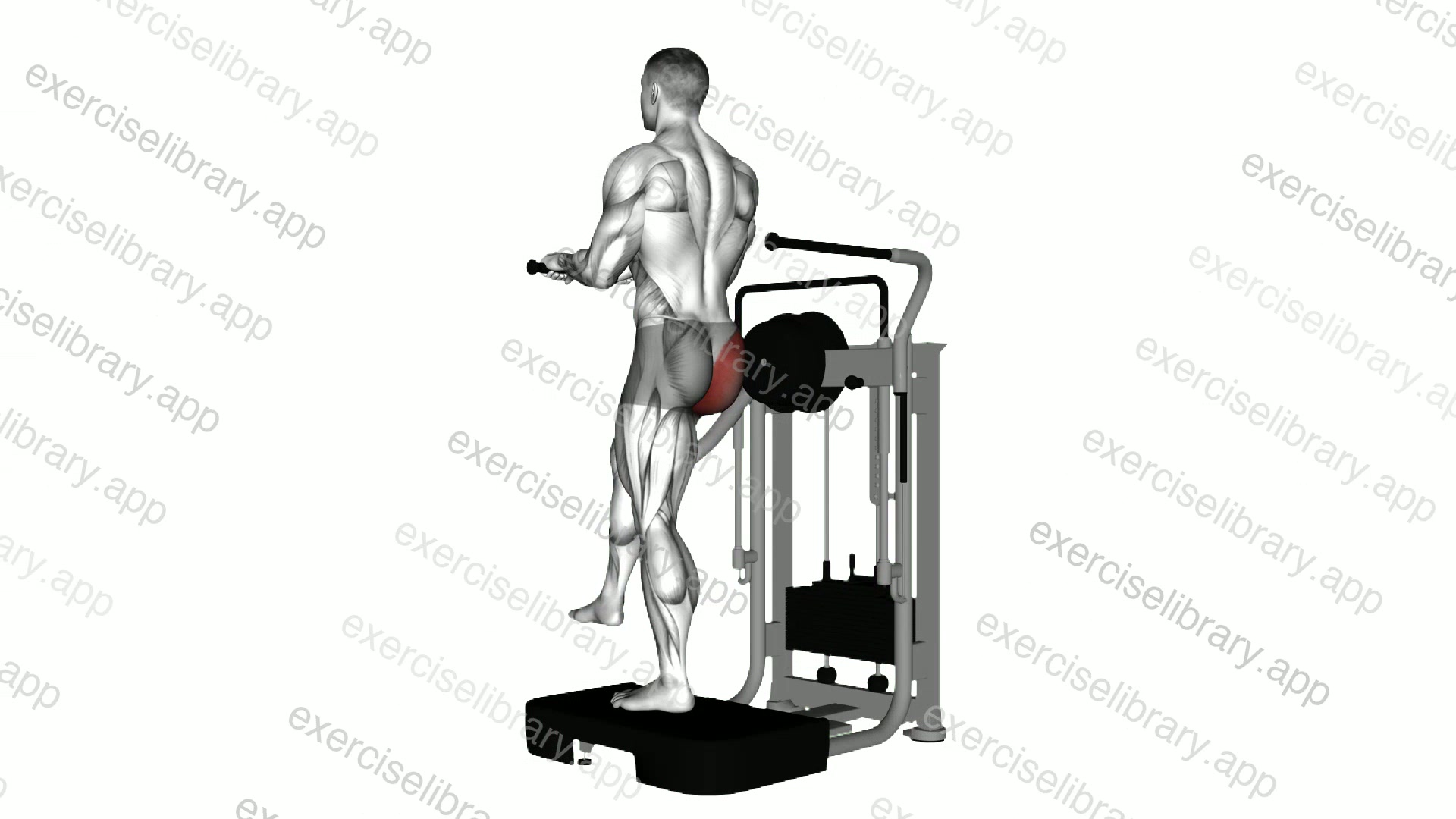 Lever Standing Rear Kick demonstration