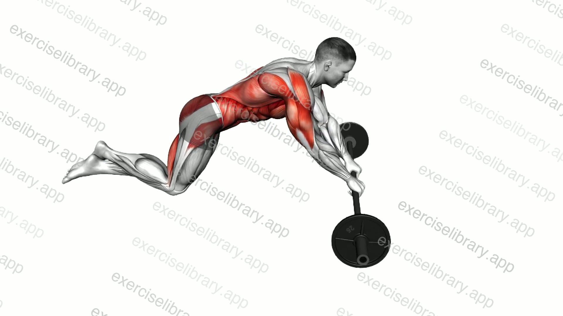 Barbell Hip Twist Rollout demonstration