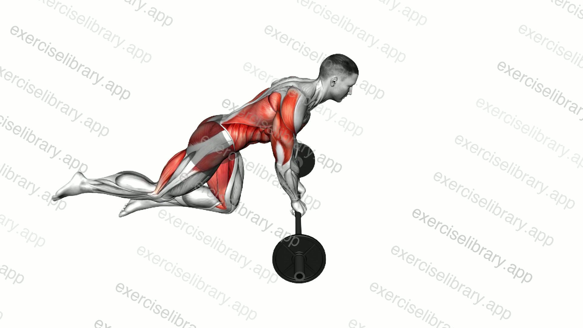 Barbell Diagonal Leg Lift Rollout demonstration
