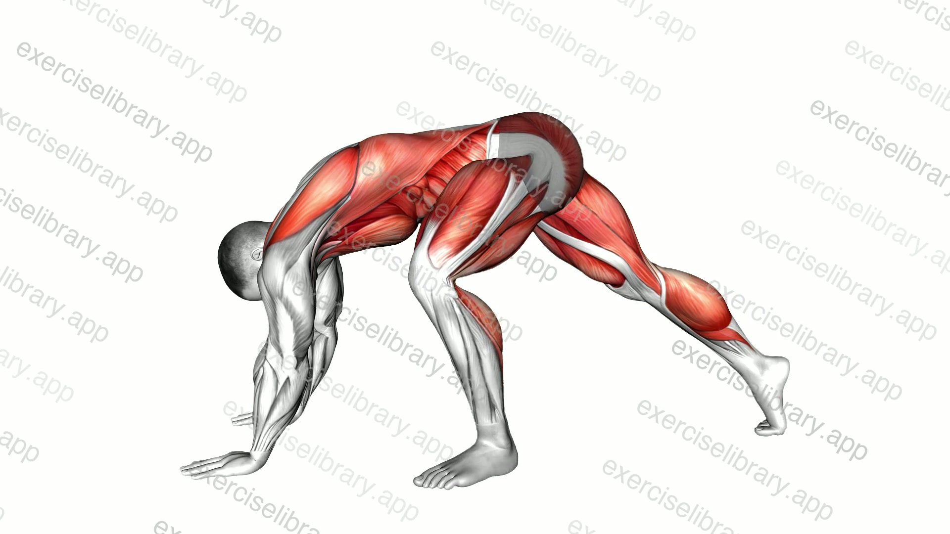 High to Side Hip Stretch demonstration
