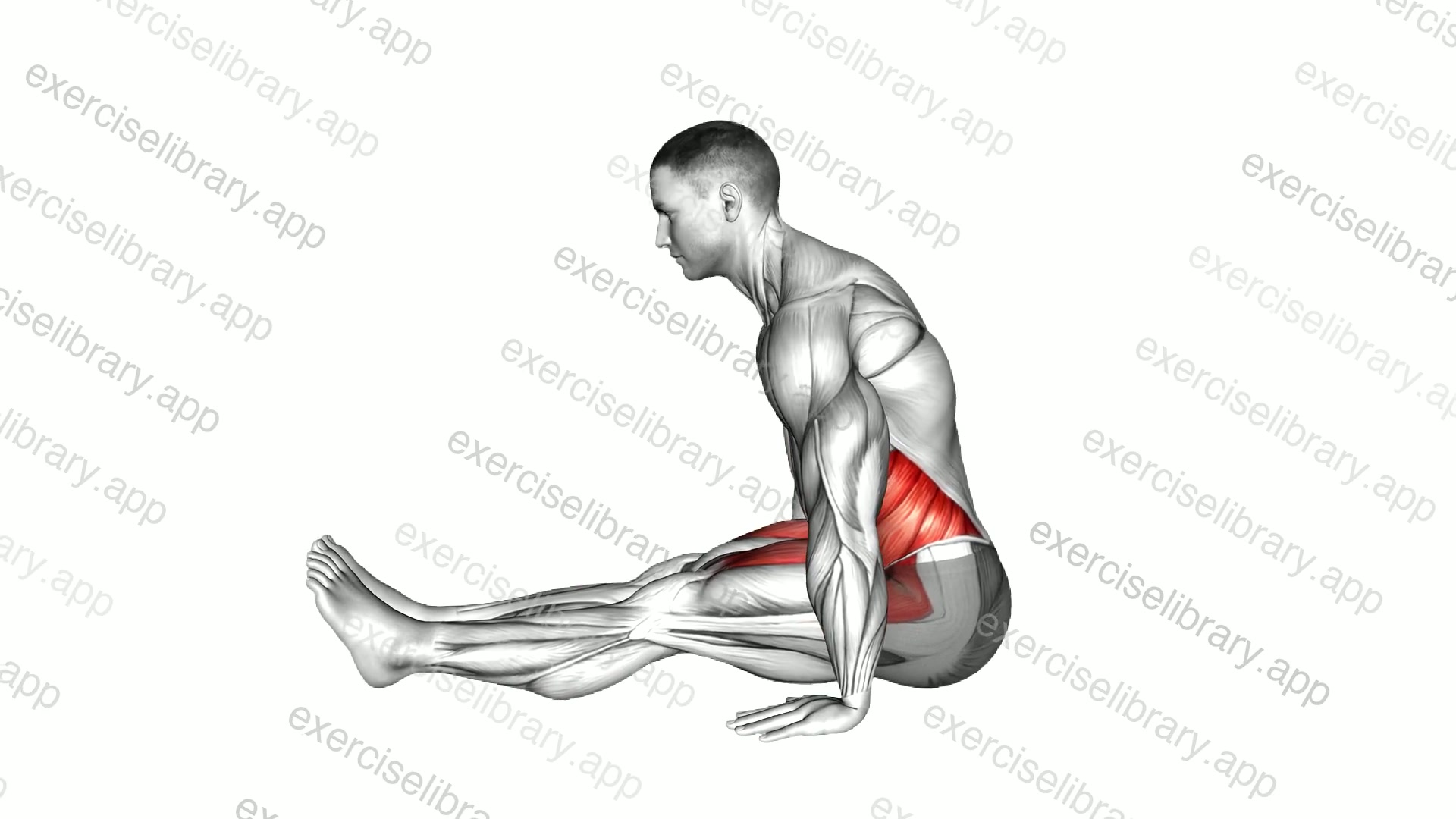Cradle demonstration