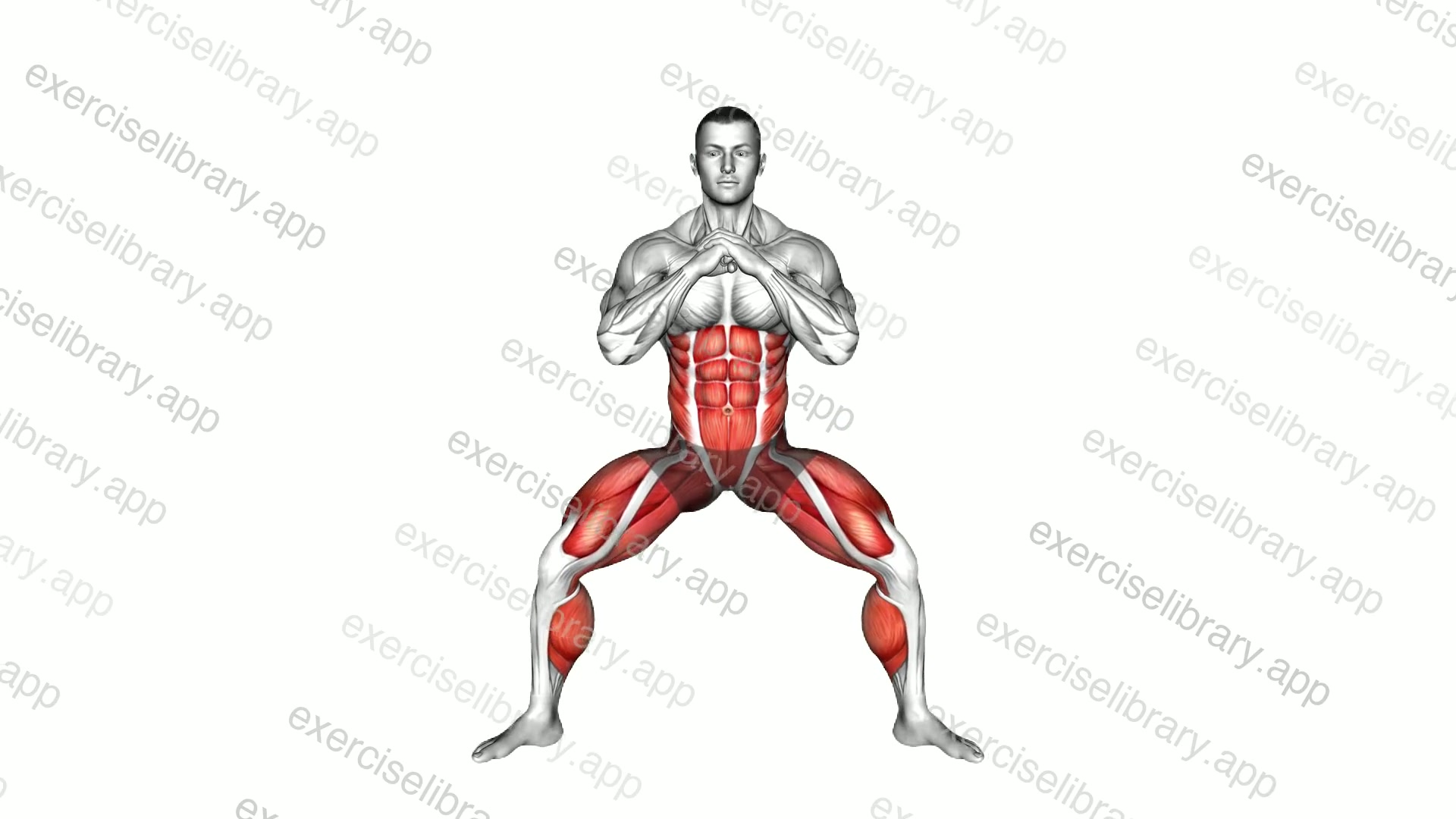 Plie Squat Knee Tap demonstration