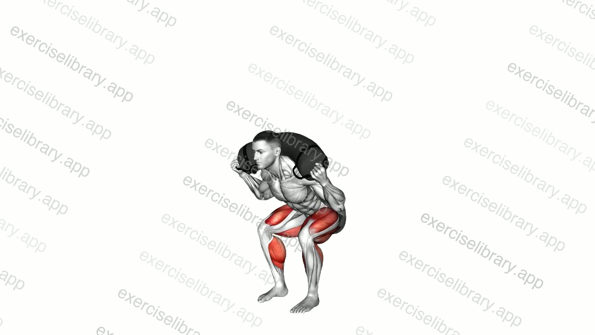 Weighted Sandbag Deadlift demonstration