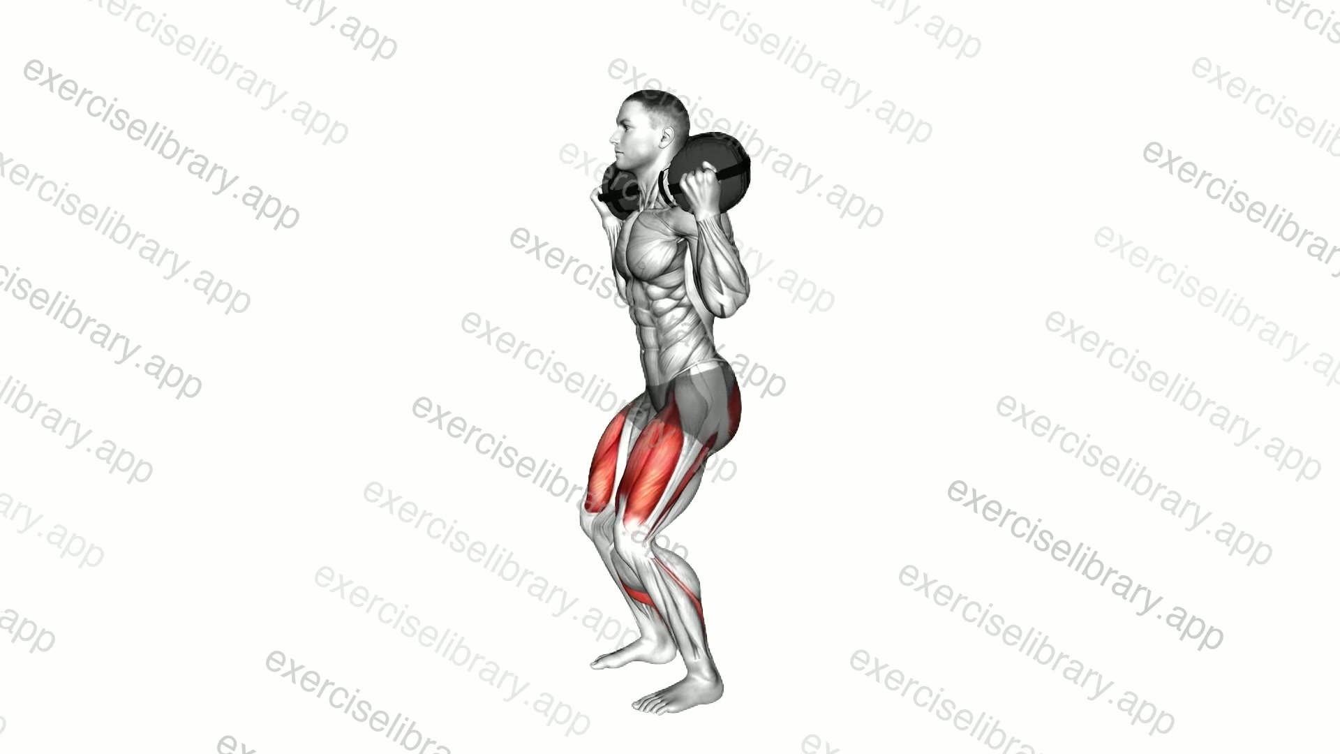 Weighted Sandbag Squat demonstration
