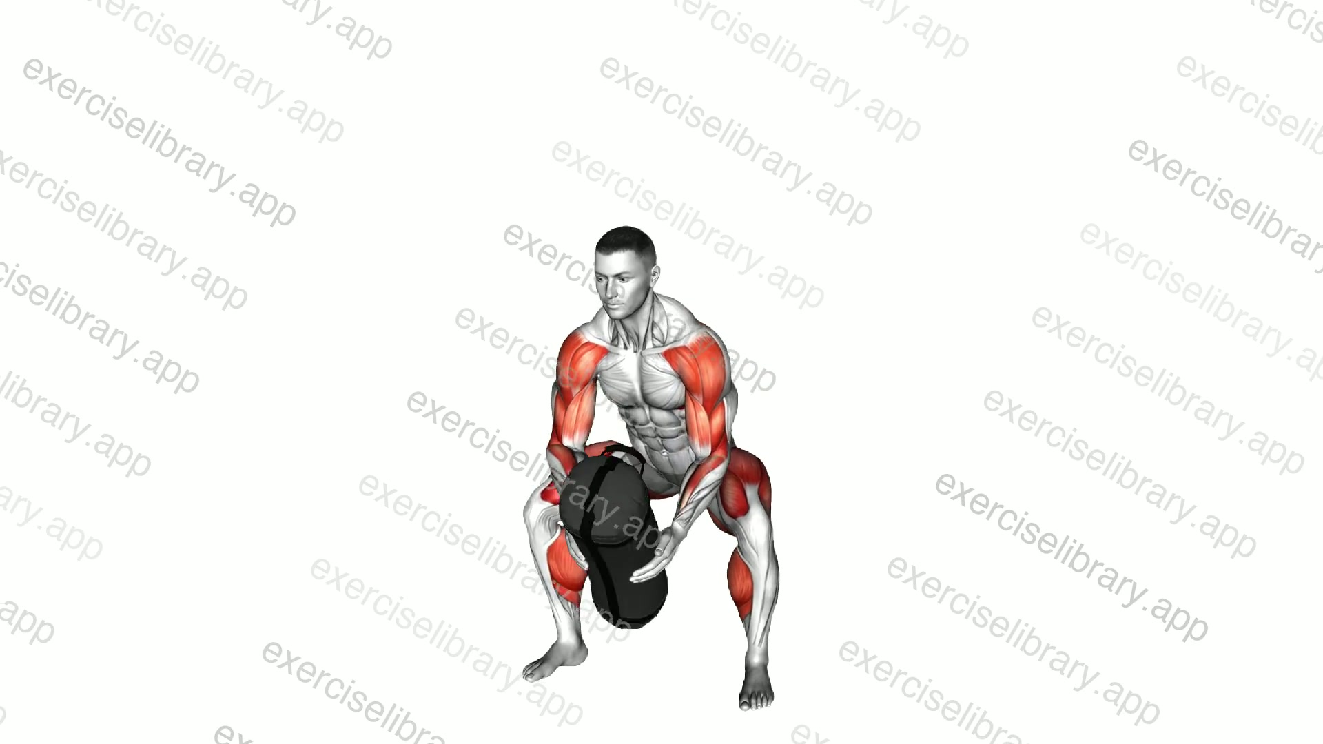 Weighted Sandbag Shouldering demonstration