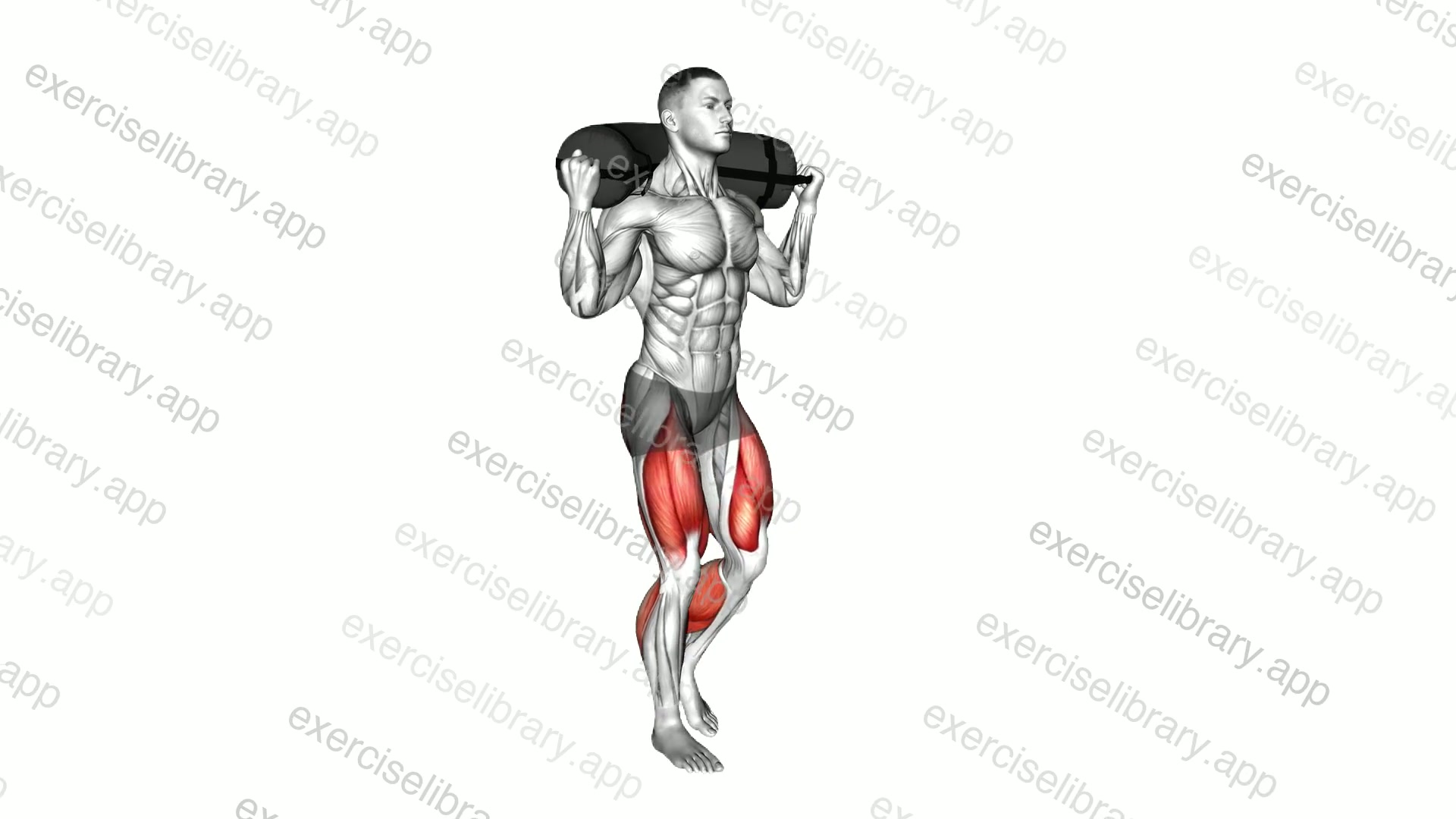 Weighted Sandbag Carry demonstration