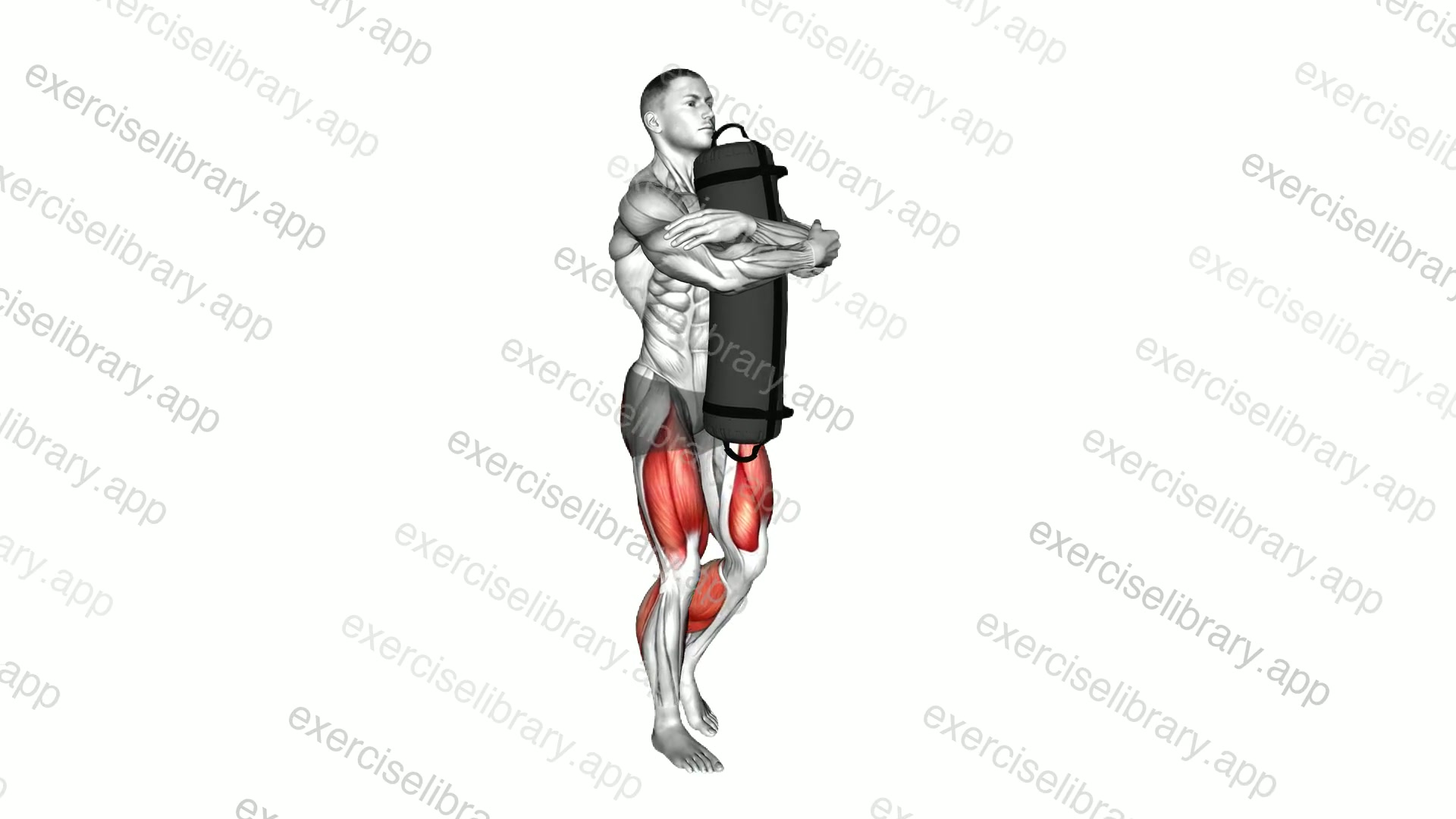 Weighted Sandbag Carry demonstration