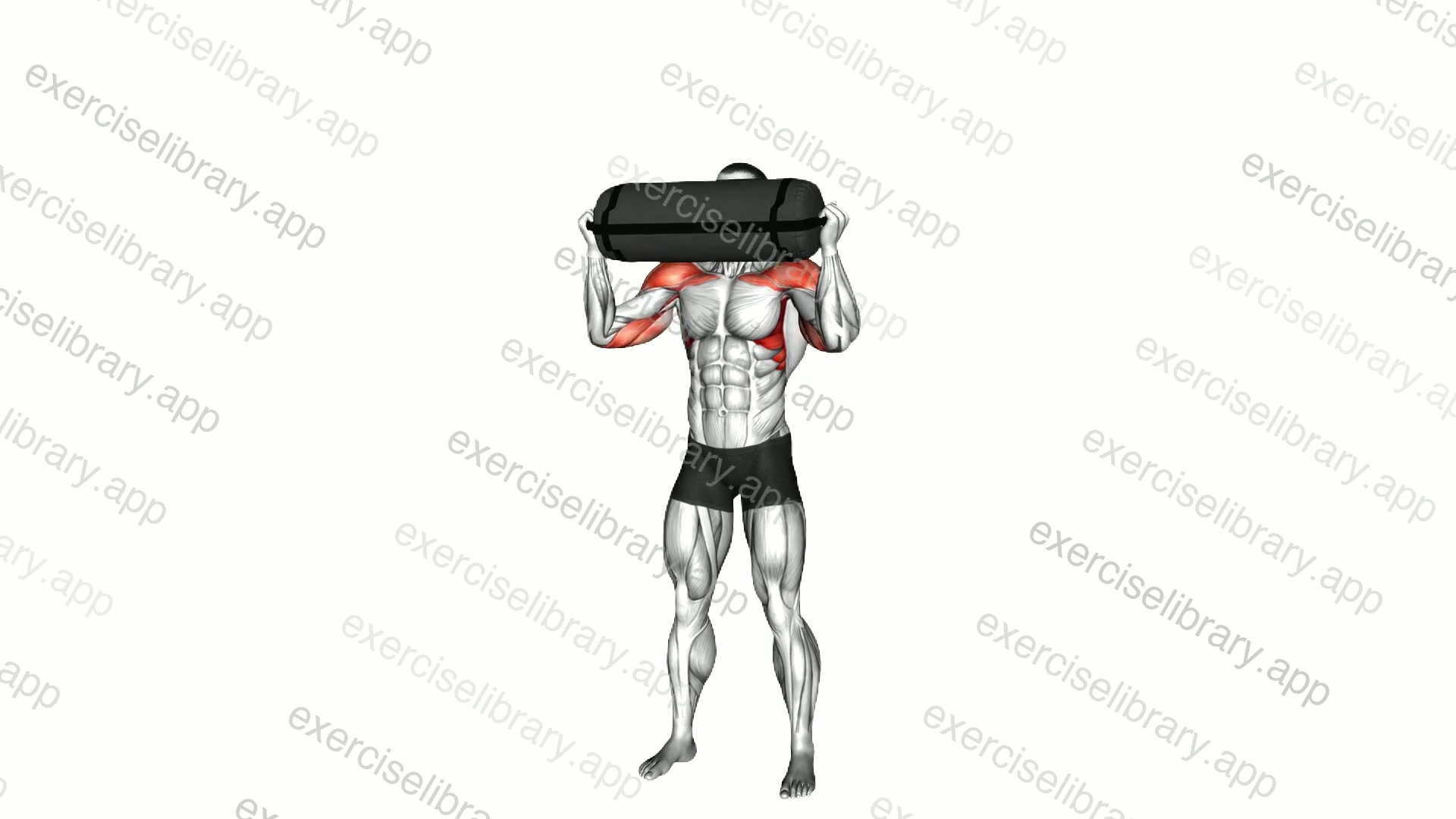 Weighted Sandbag Military Press demonstration