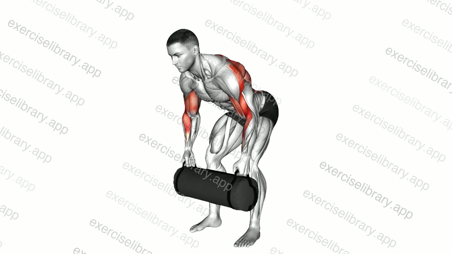 Weighted Sandbag Row demonstration
