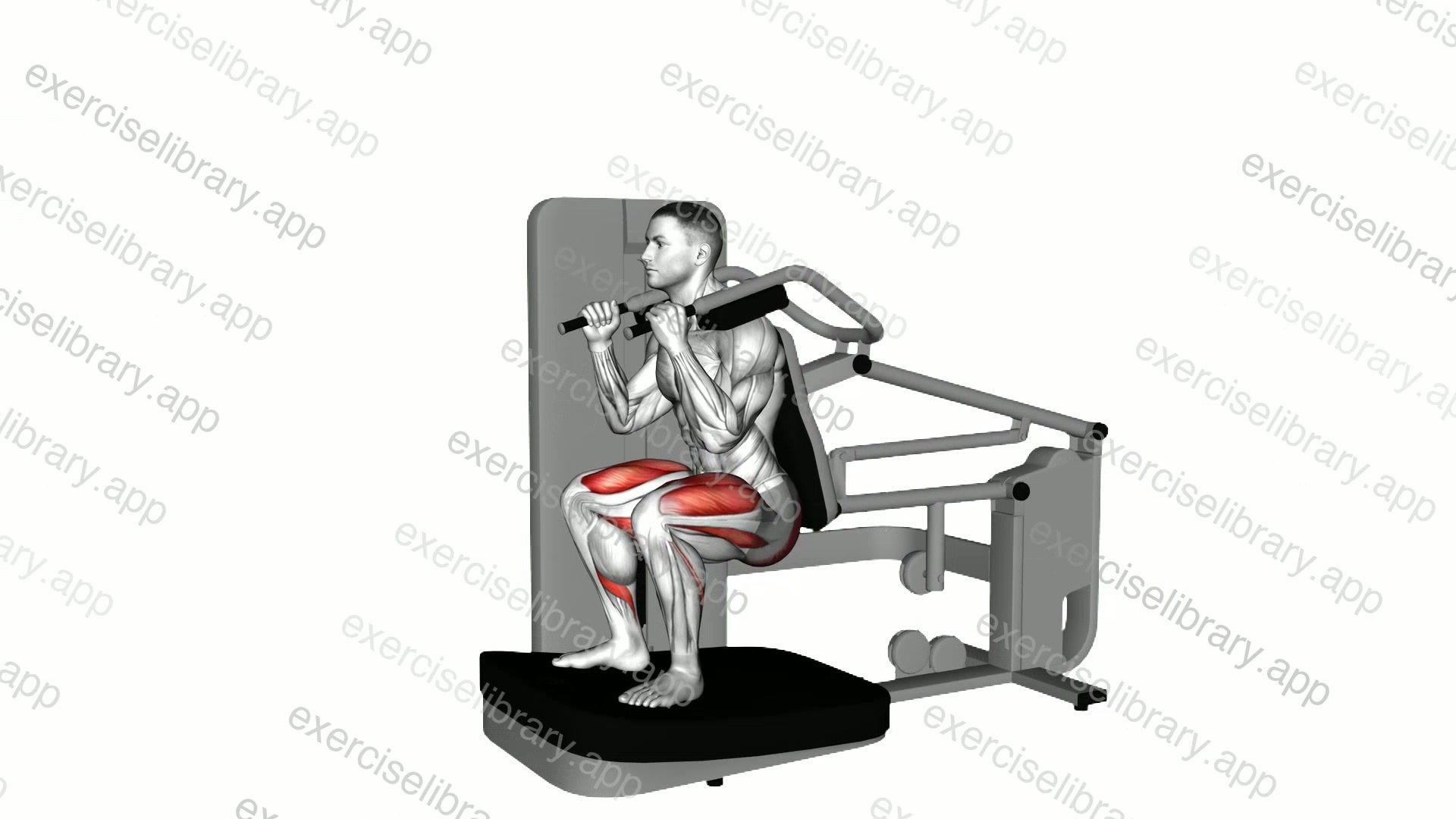 Lever Full Squat demonstration