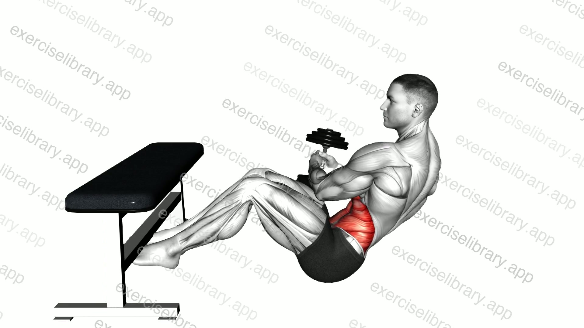 Dumbbell Russian Twist with Legs Supported demonstration