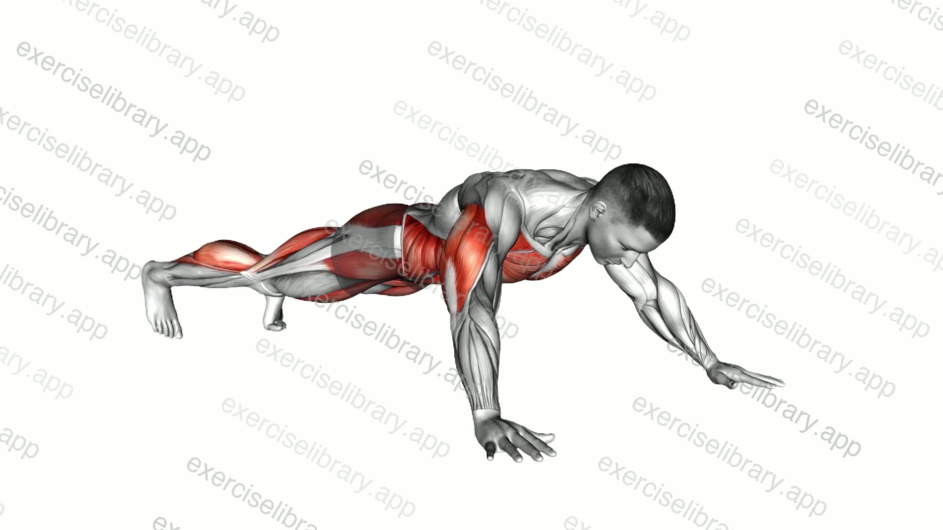Star Plank Toe Tap demonstration