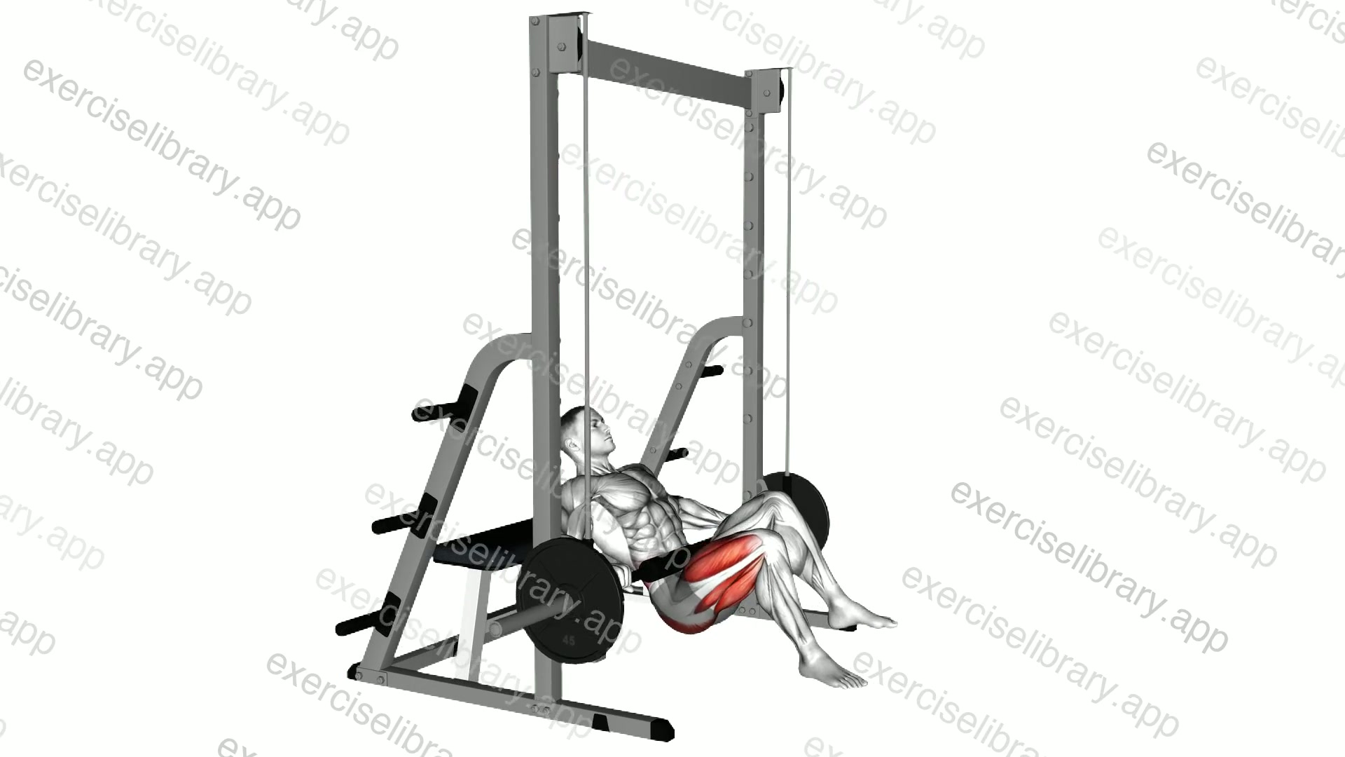 Smith Single Leg Hip Thrust demonstration