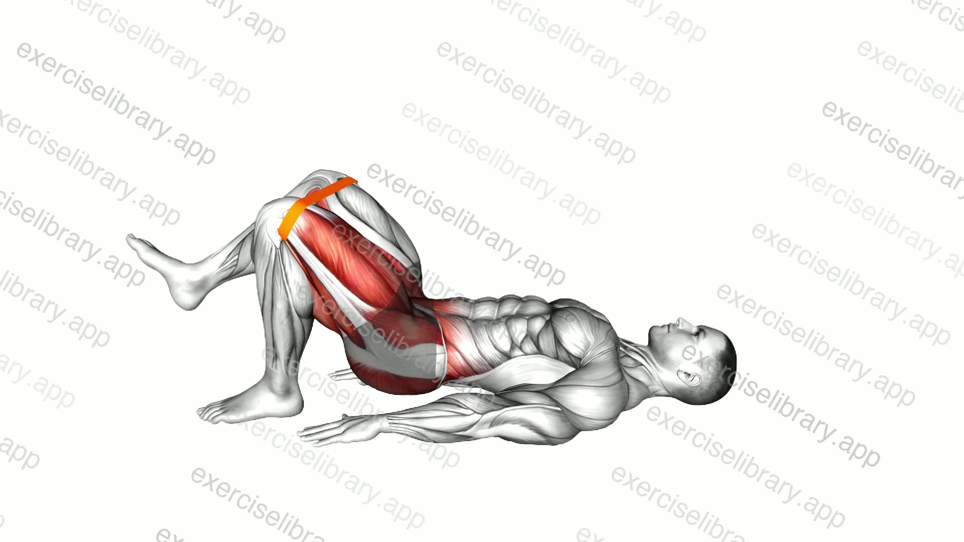 Resistance Band Single Leg Bridge demonstration