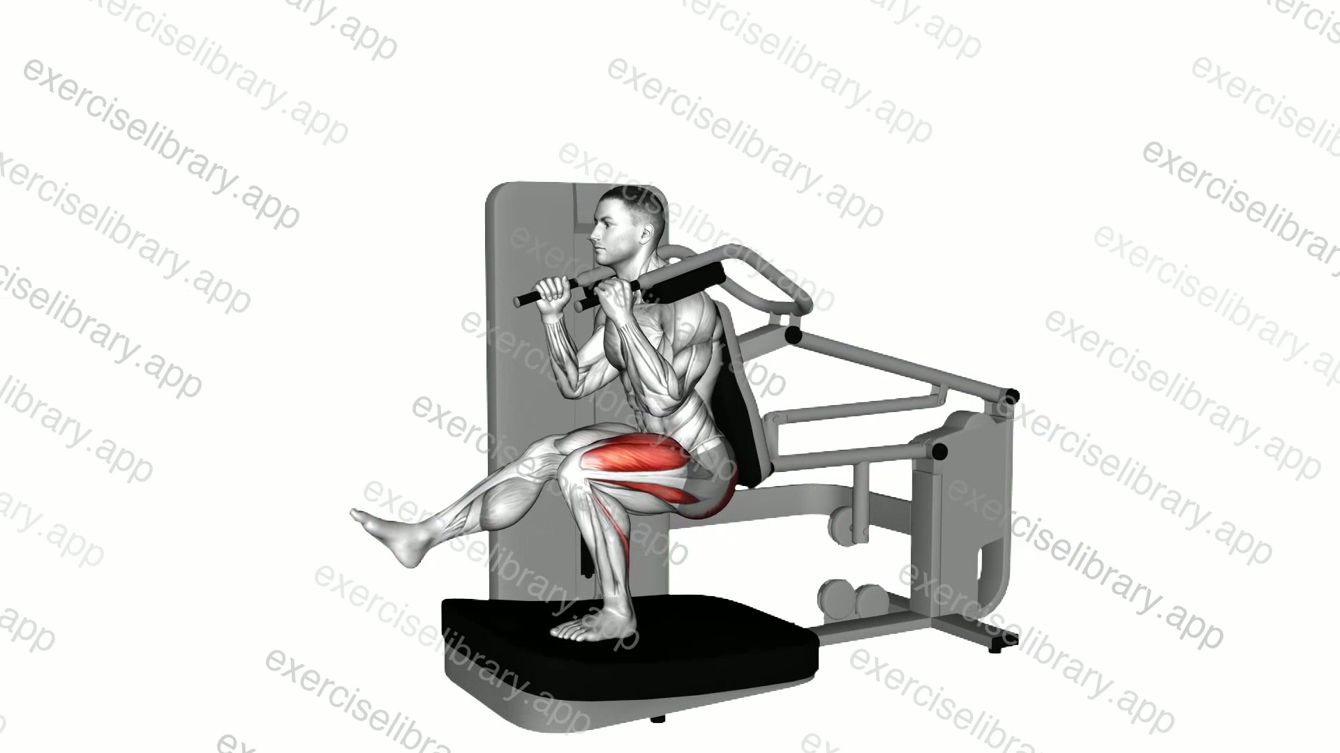 Lever Pistol Squat demonstration