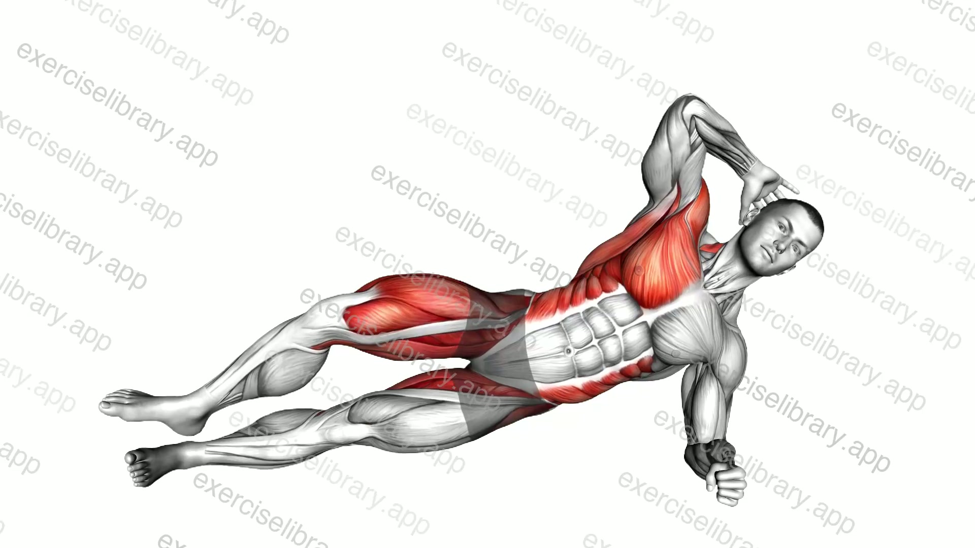 Side Plank Elbow to Knee Raise demonstration