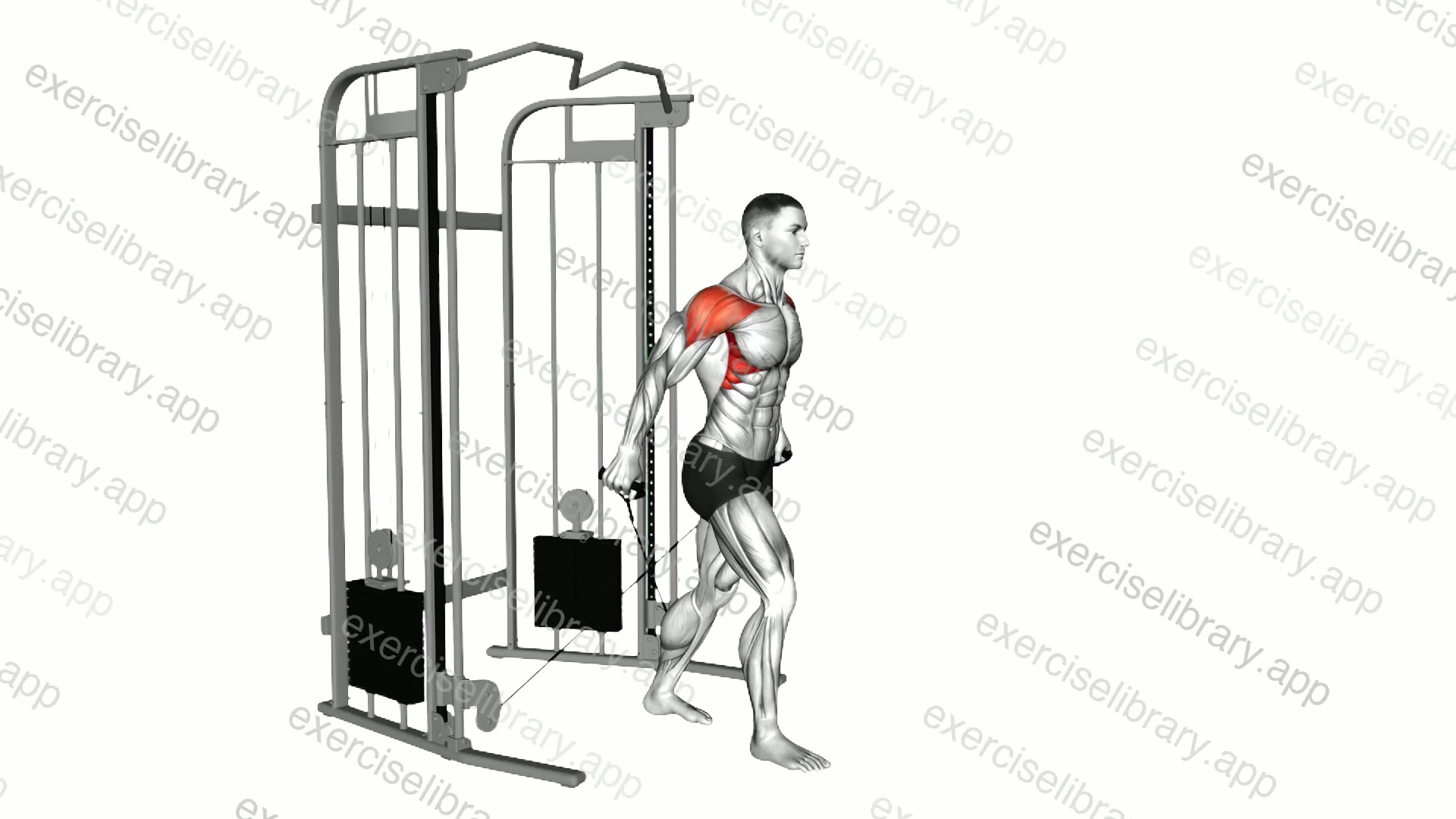 Cable Behind The Back Cuffed Lateral Raise demonstration