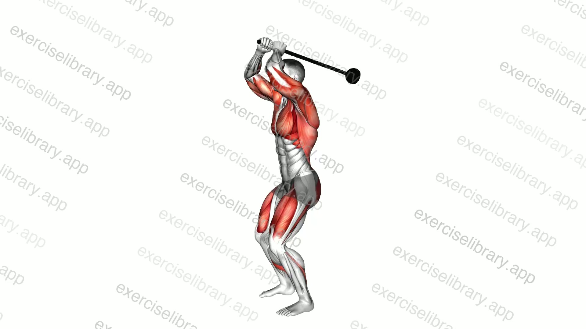 Weighted Steel Mace Squat demonstration