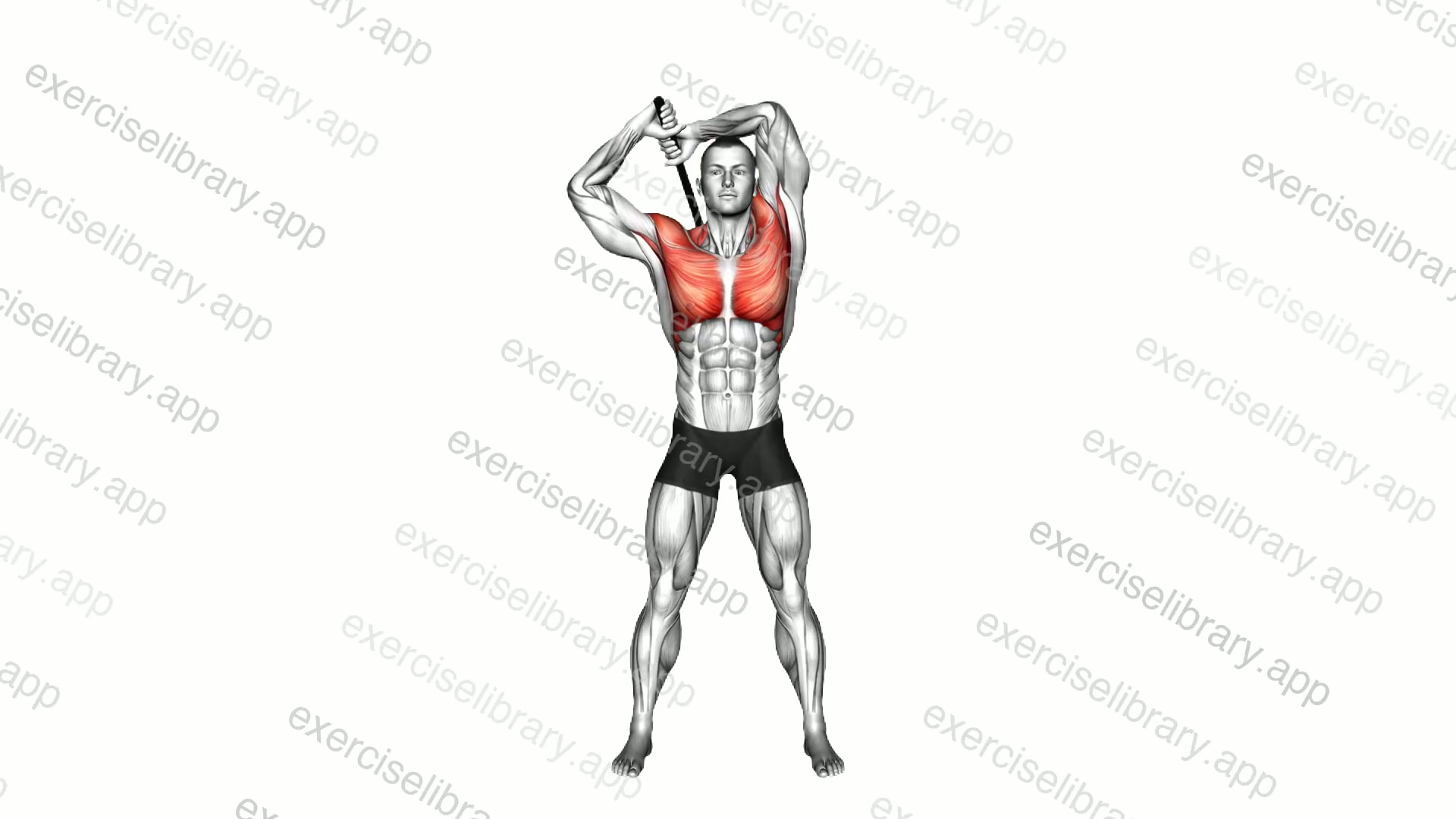 Weighted Steel Mace Halo demonstration