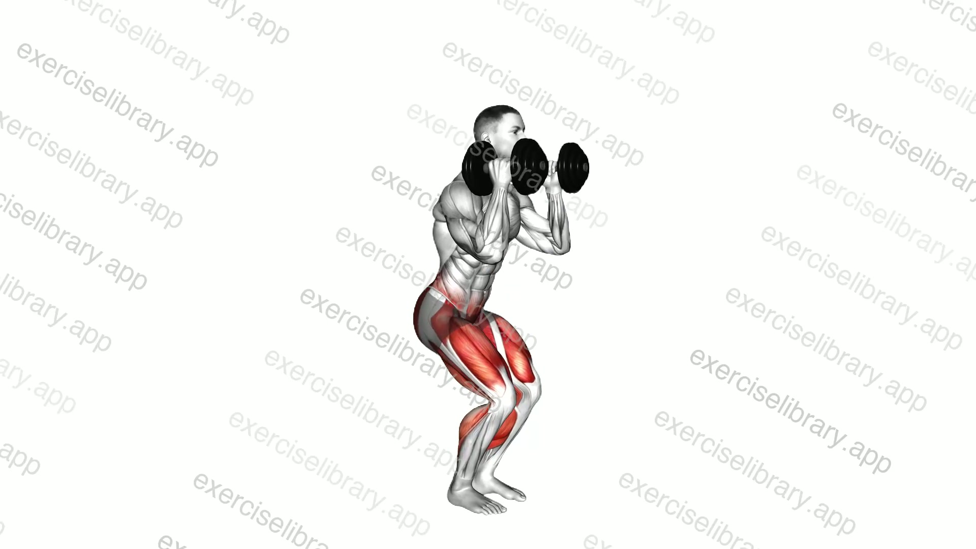 Dumbbell Squat Royalty Lunge demonstration