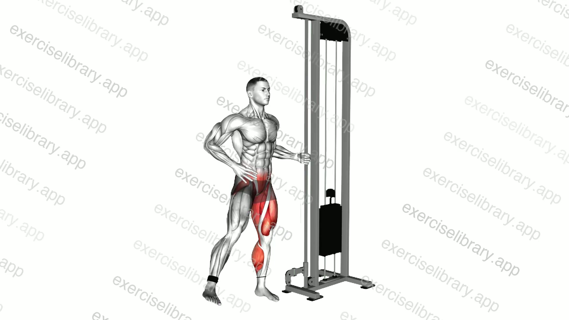 Cable Squat Side Leg Kick demonstration