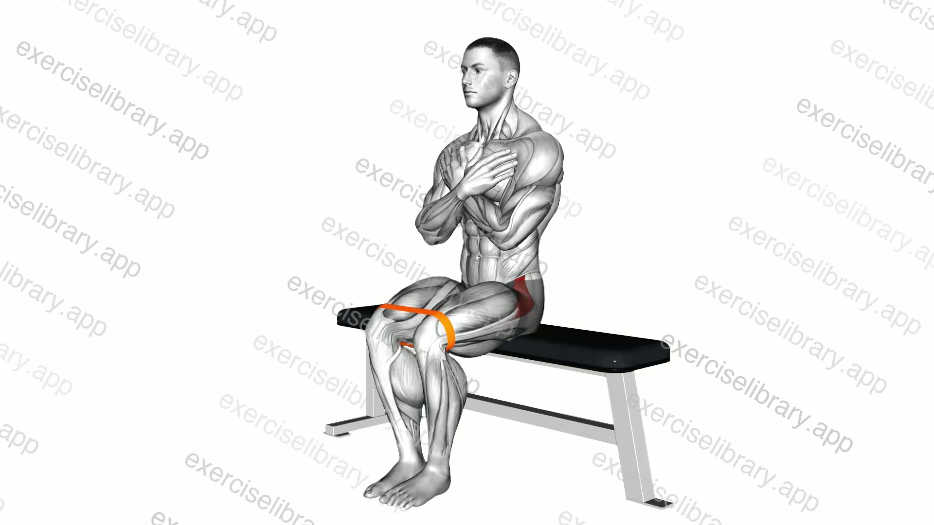 Resistance Band Seated Hip Abduction demonstration