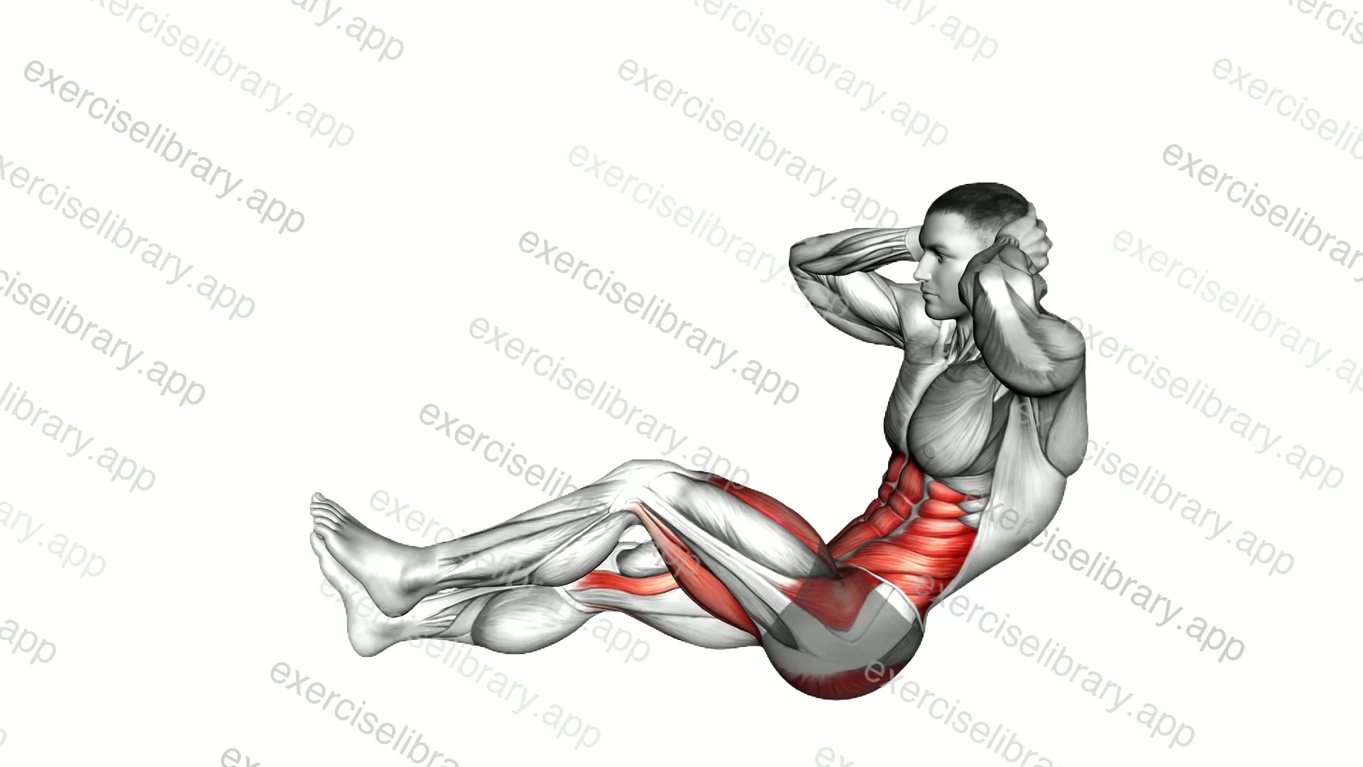 Sitting Floor Crunch Alternating Knee Raise to Toe Touch demonstration