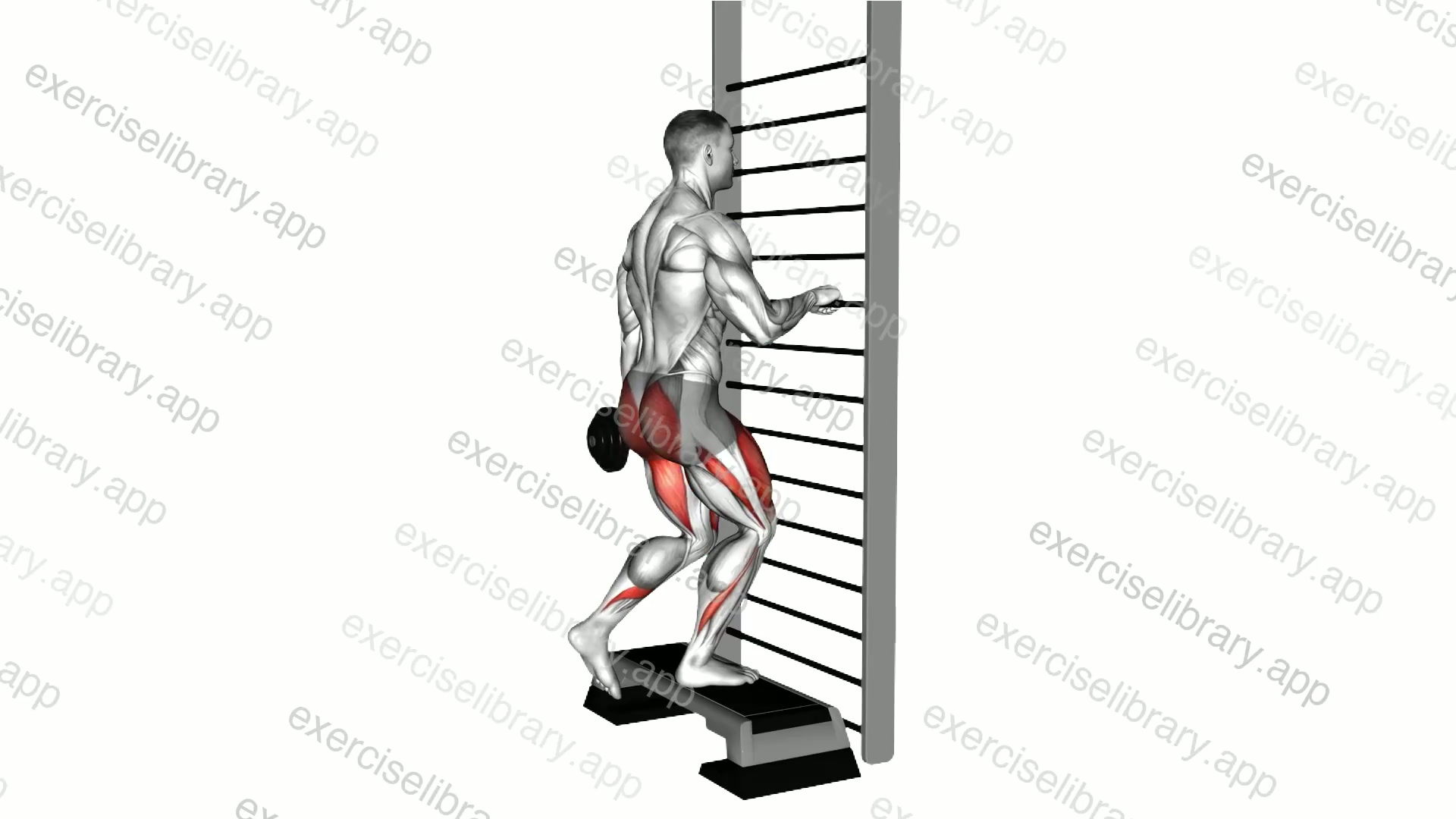 Dumbbell Opposite Reverse Lunge from Deficit demonstration