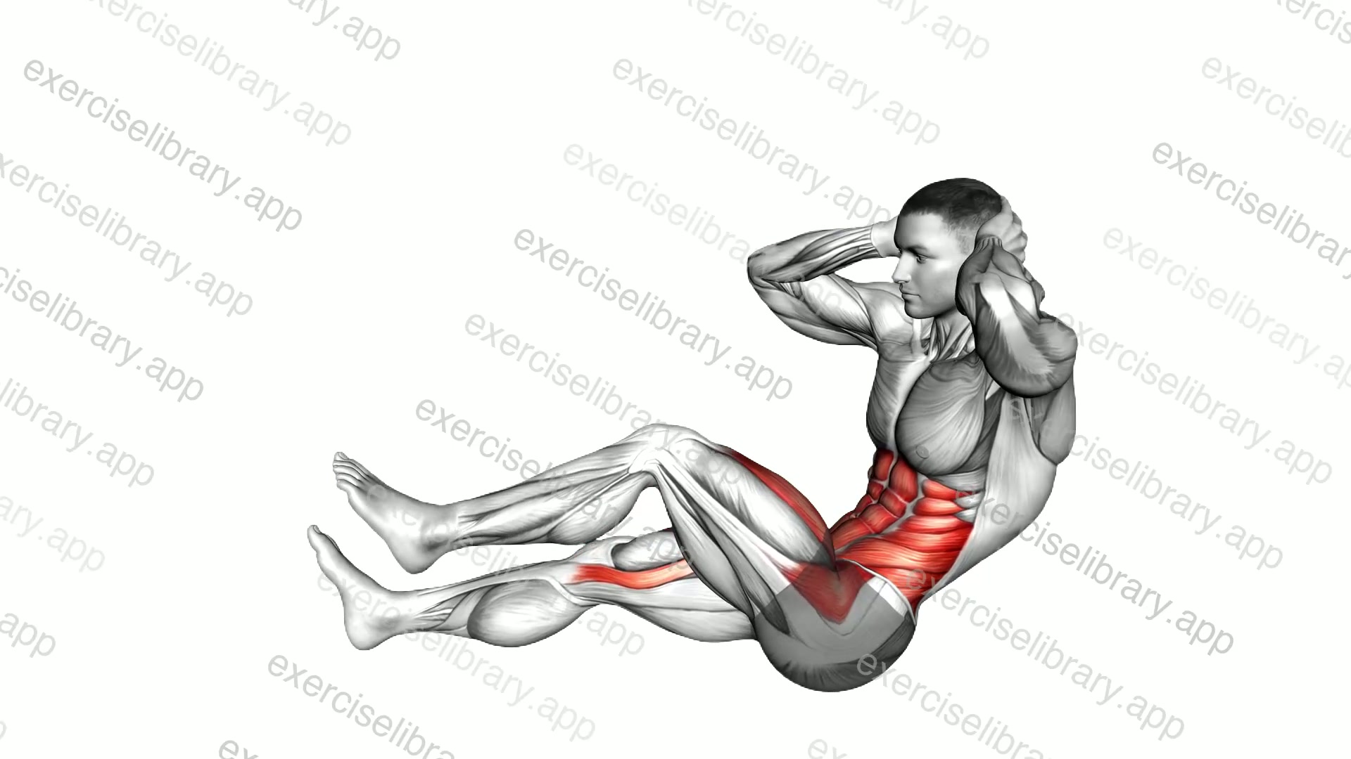 Sitting Floor Alternating Crunch Knee Raise and Toe Touch demonstration