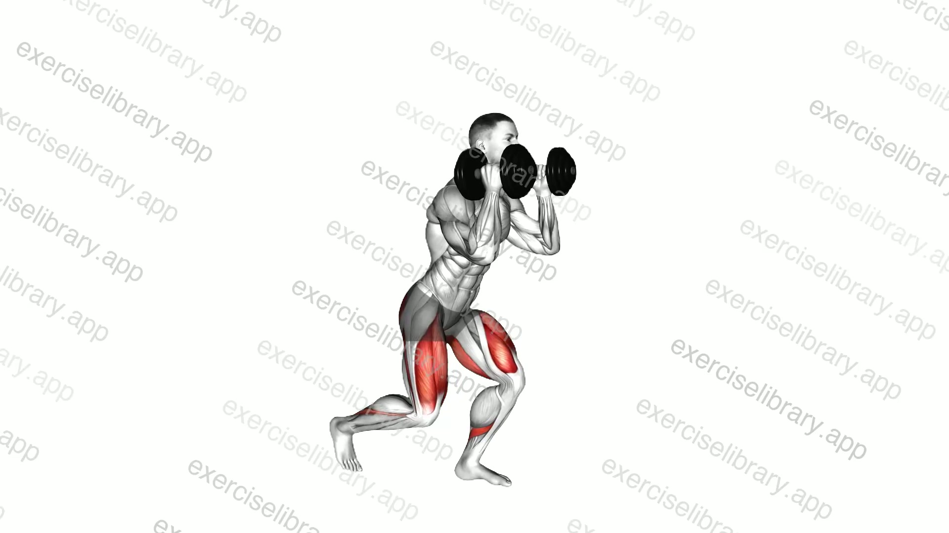 Dumbbell Lunge Squat demonstration