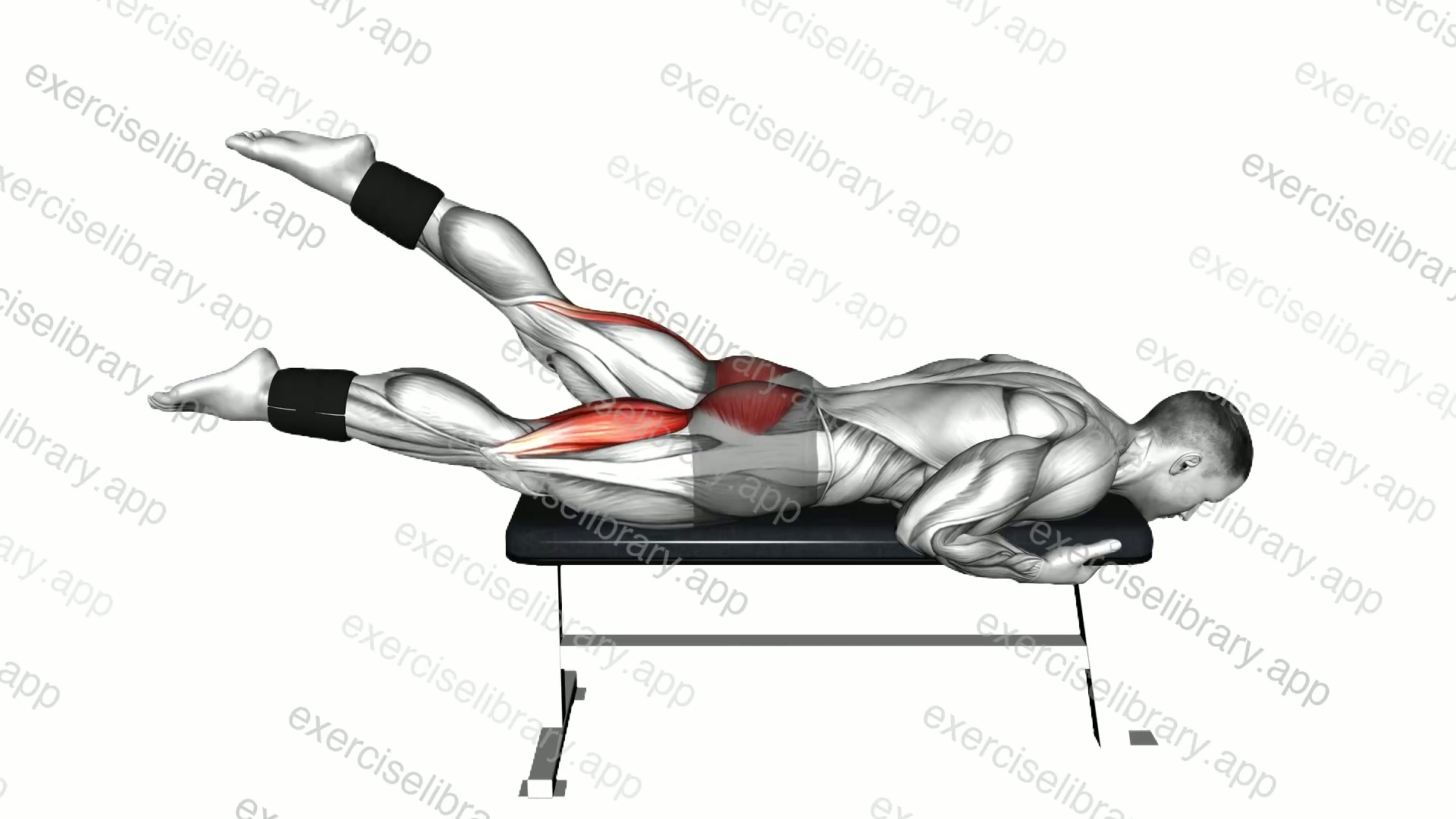 Weighted Flutter Kicks demonstration