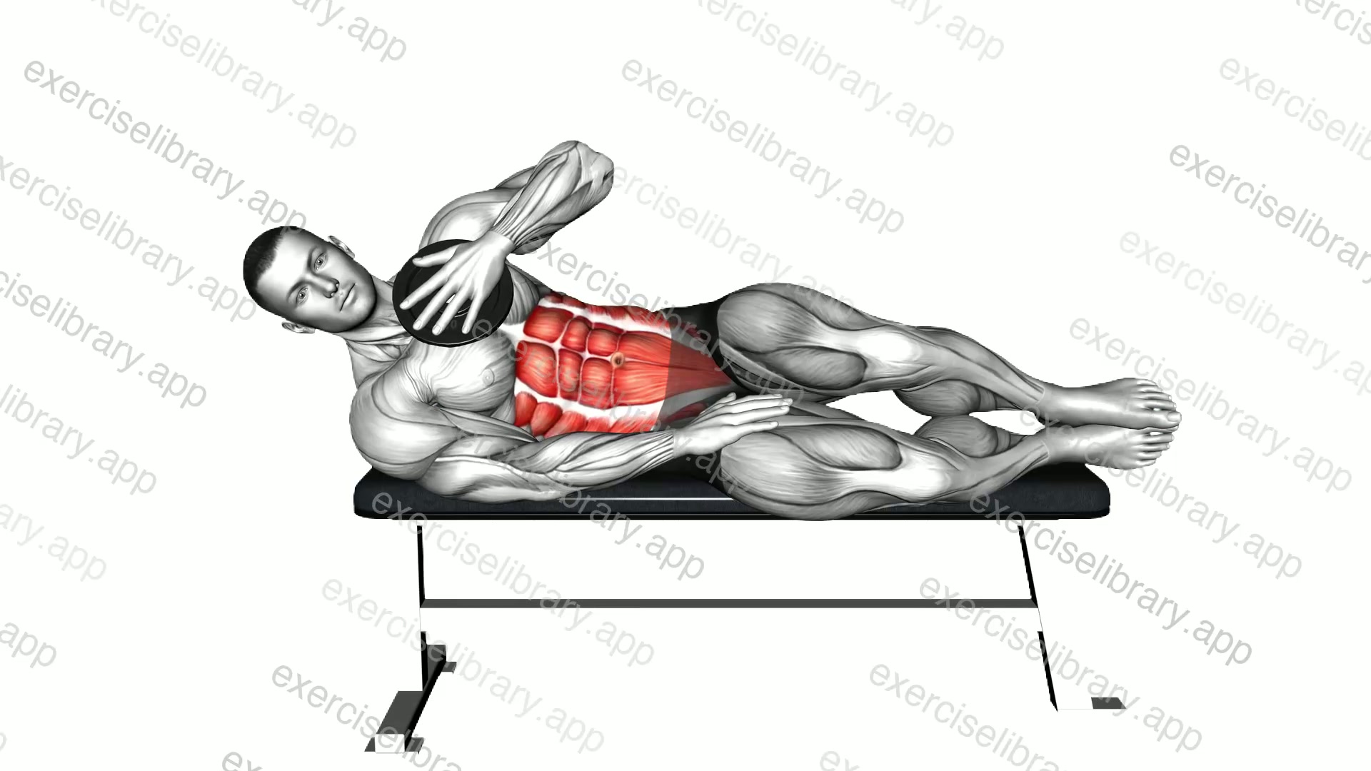 Weighted Plate Lying Bench Side Oblique Crunch demonstration