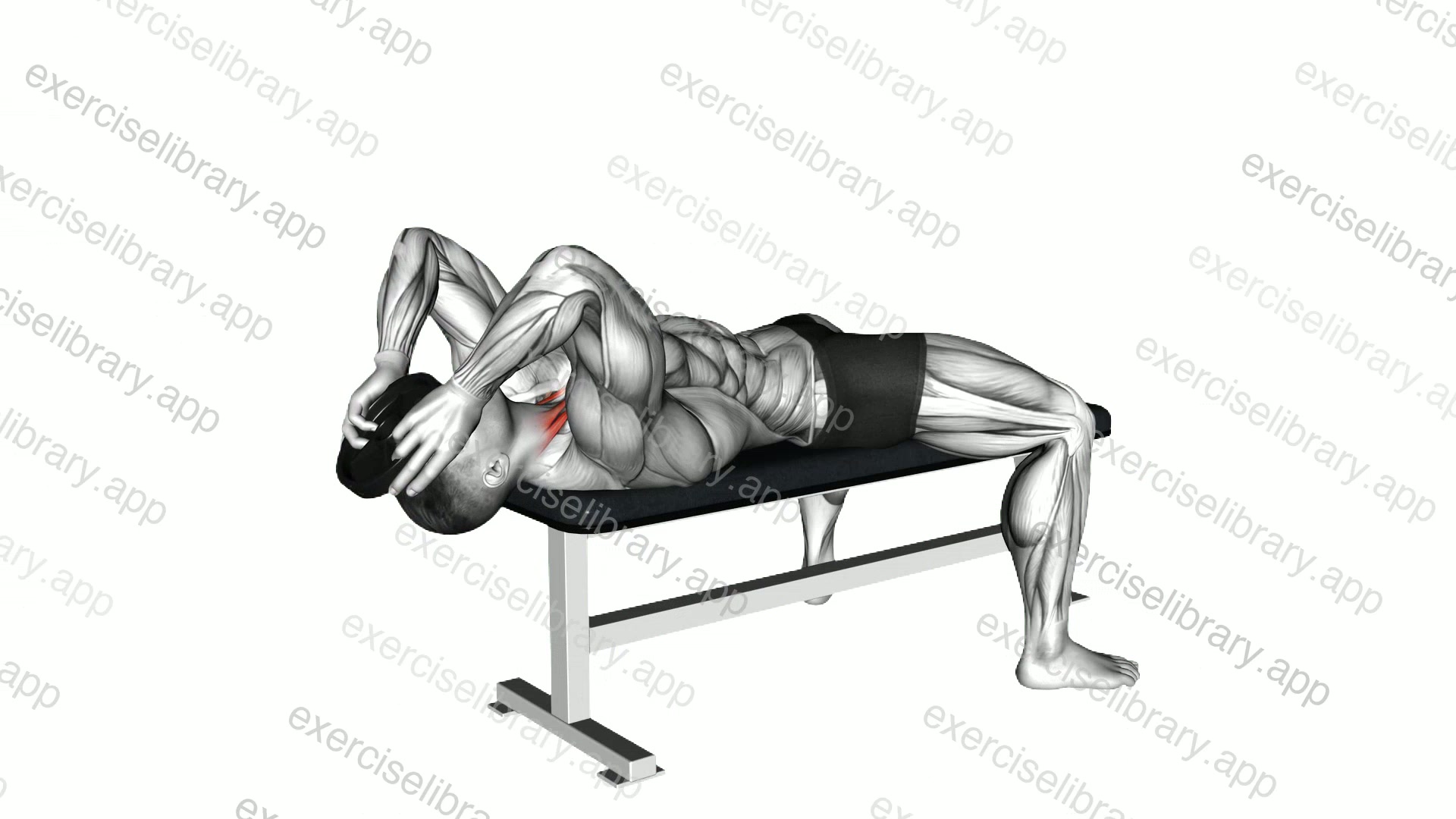 Weighted Lying Neck Flexion demonstration
