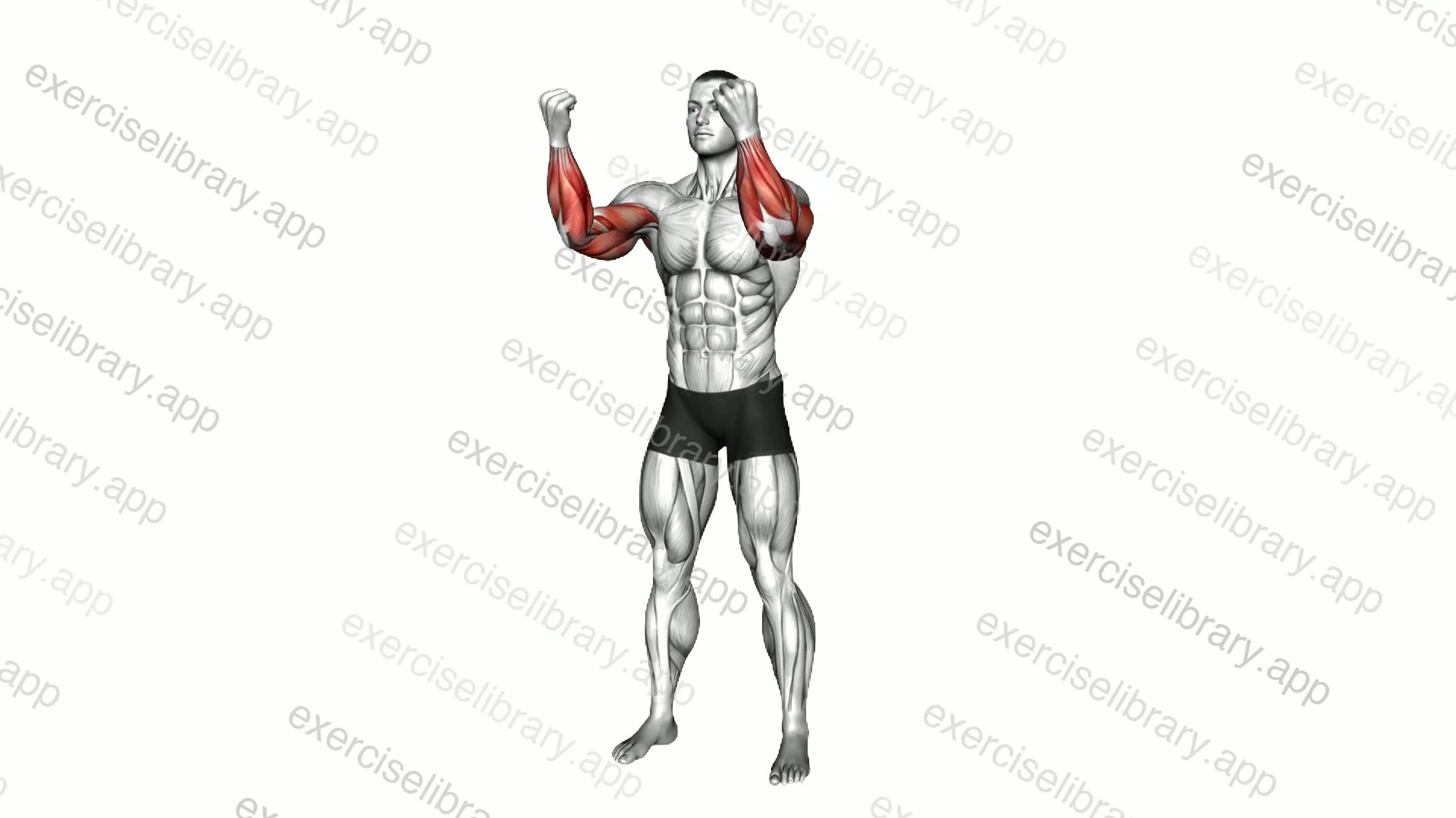 Standing Arms and Wrist Circle demonstration