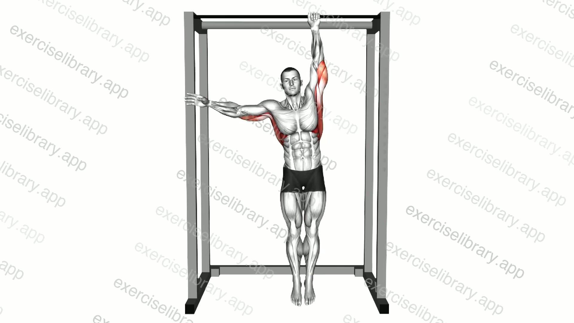 Alternating Dead Hang demonstration