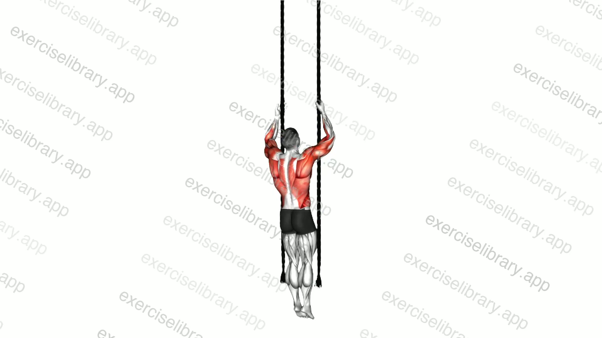 Two Ropes Climb demonstration