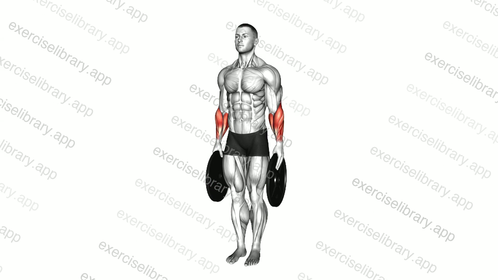 Plate Pinch demonstration