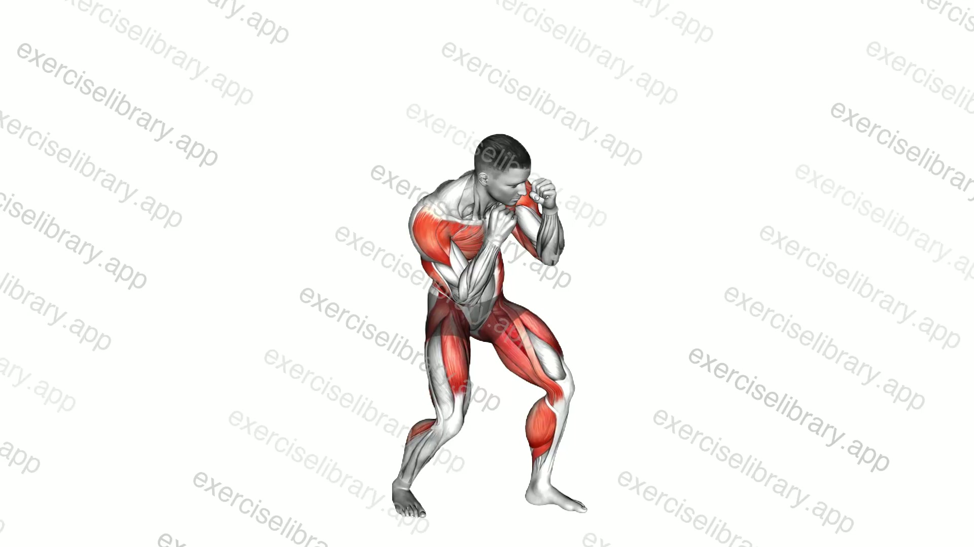 Slip Right Slip Left Left Hook Cross demonstration