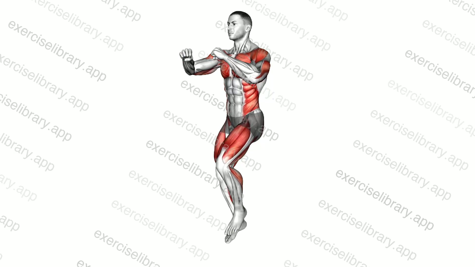 Jogging Jab demonstration