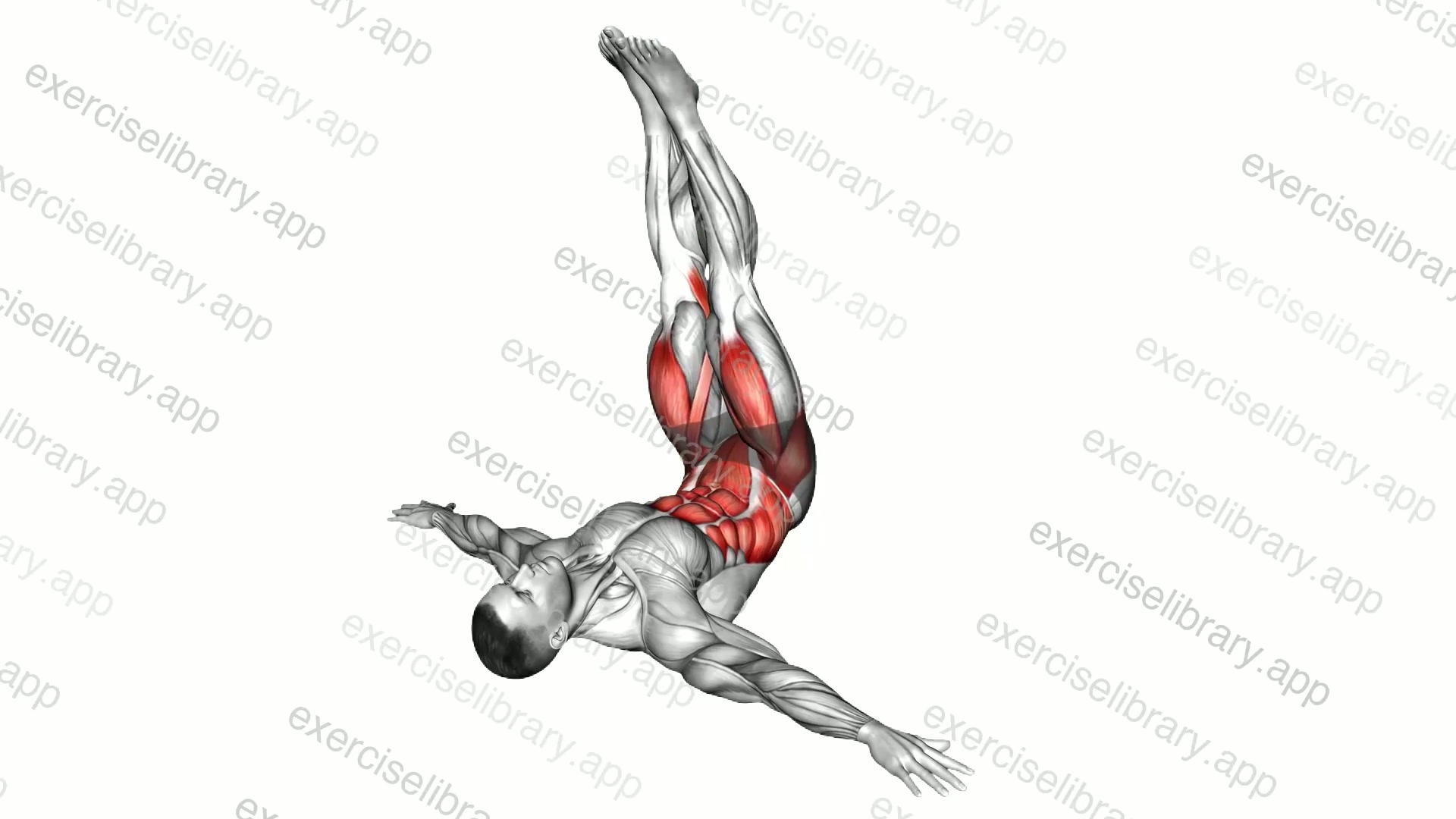Lying Side Straight Legs Reverse Crunch demonstration