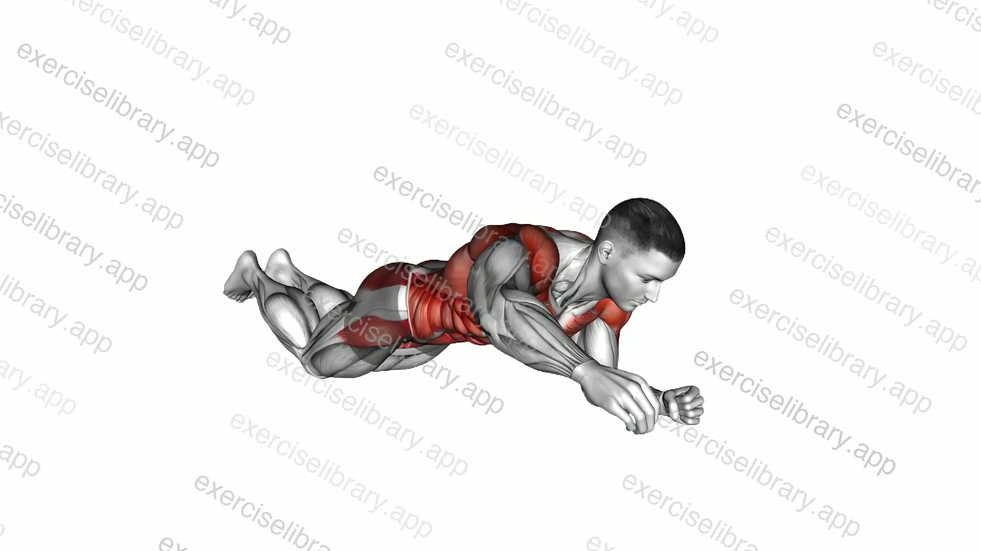 Kneeling Plank Alternating Arm Raise demonstration