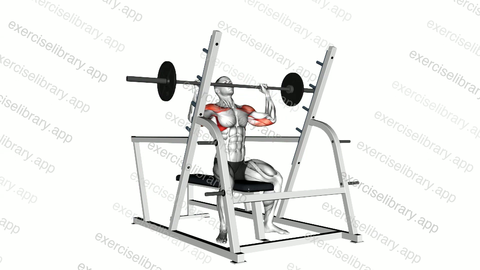 Barbell Seated Military Press demonstration