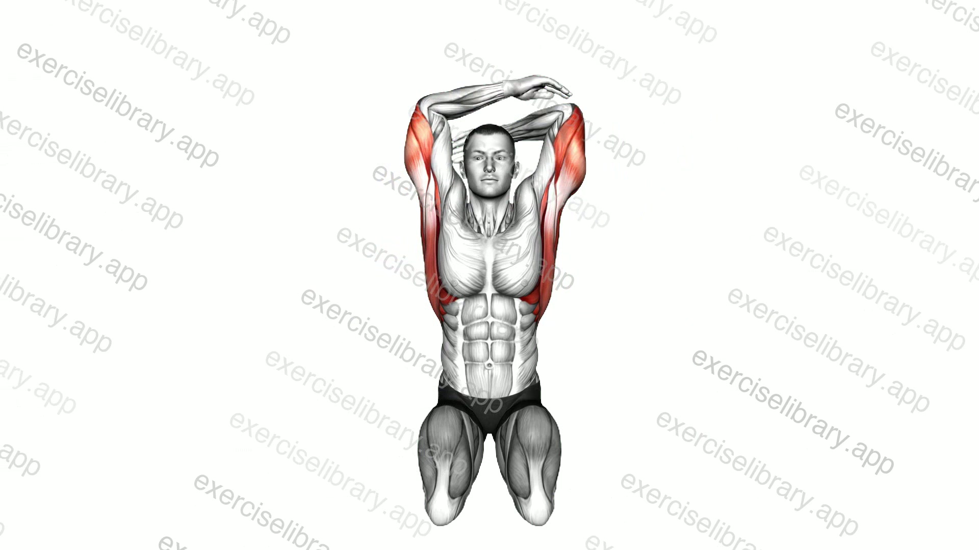 Sitting Overhead Lats Stretch demonstration