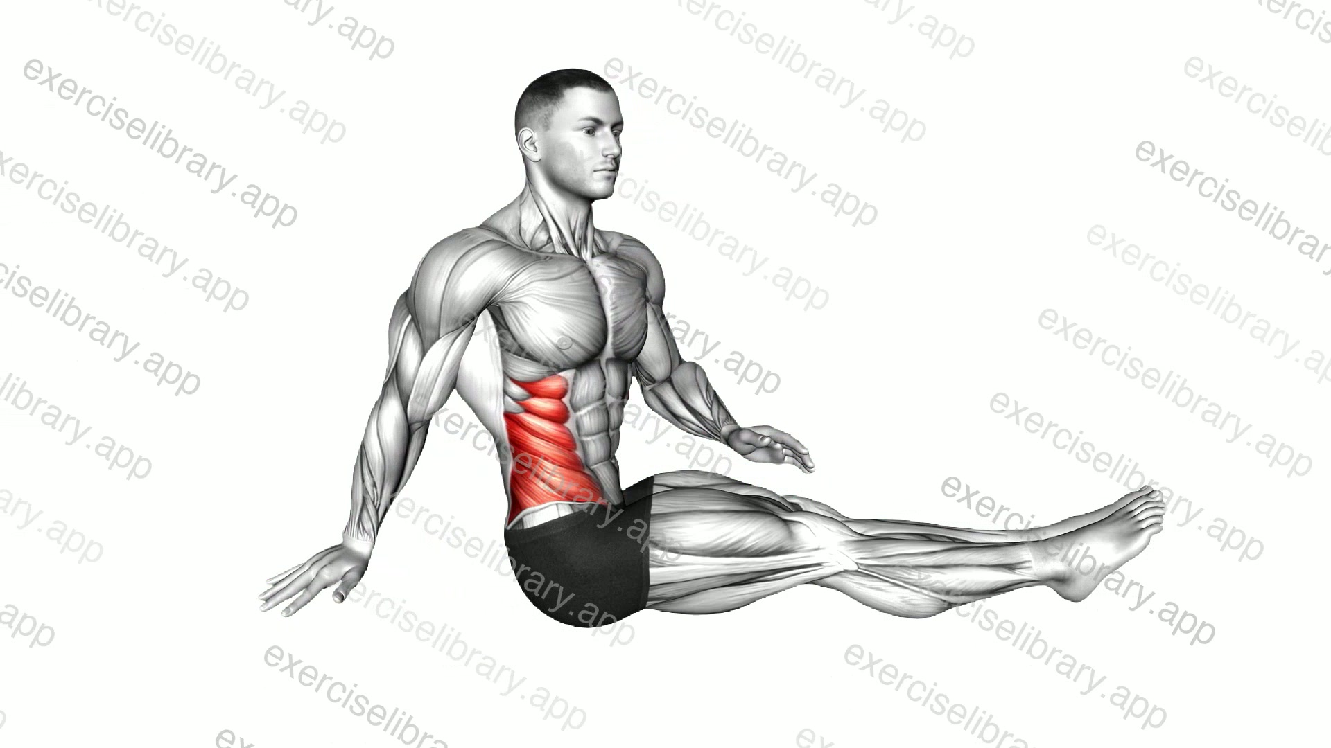 Sitting Lower Back Stretch demonstration