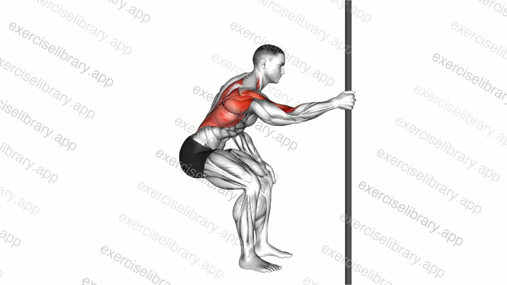 Fixed Bar Back Stretch demonstration