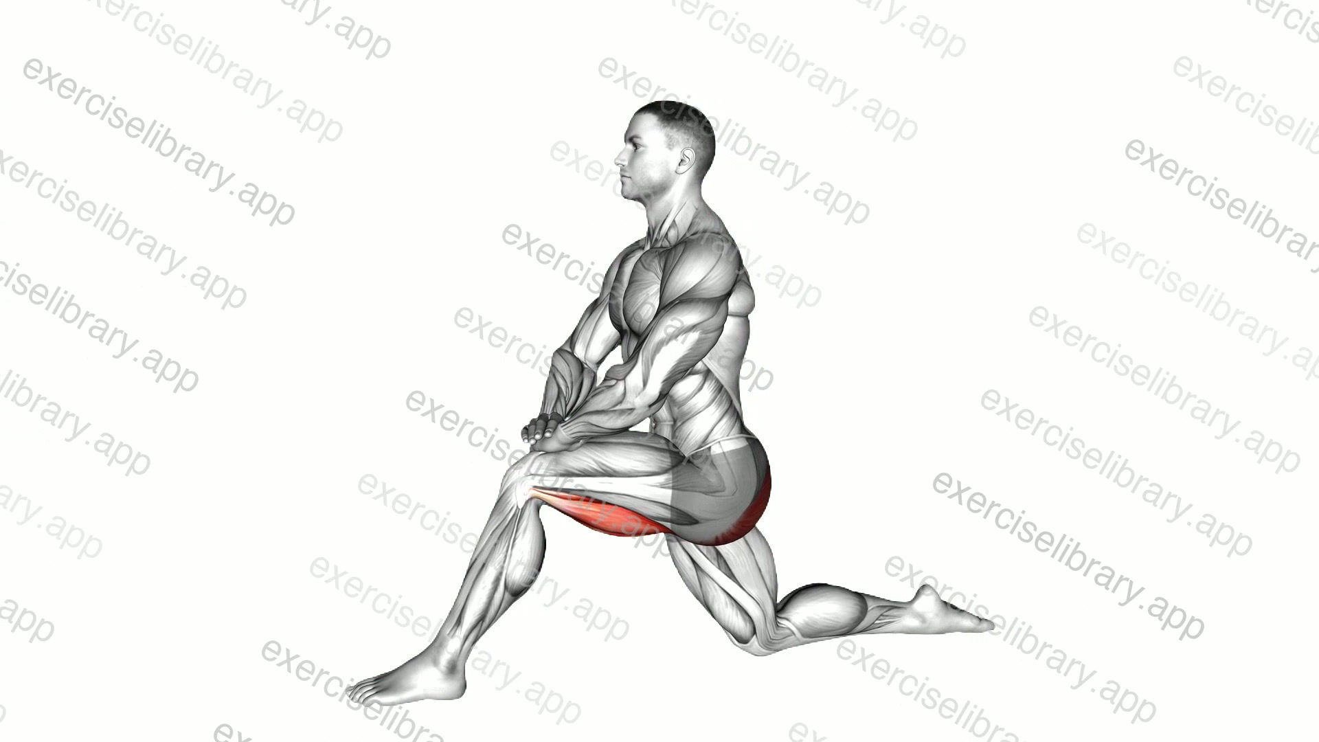 Kneeling Hip Flexor Stretch demonstration